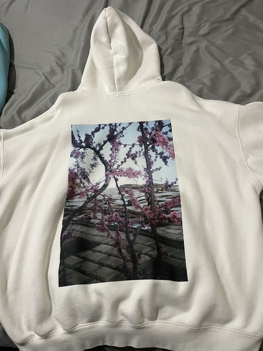 Fog essentials floral discount hoodie