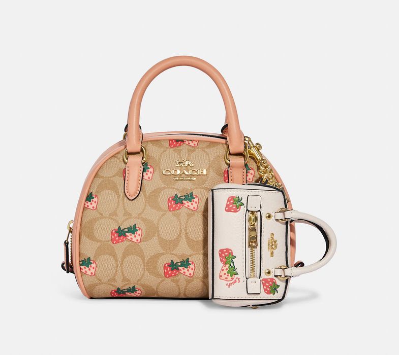 Coach mini rowan satchel bag online charm