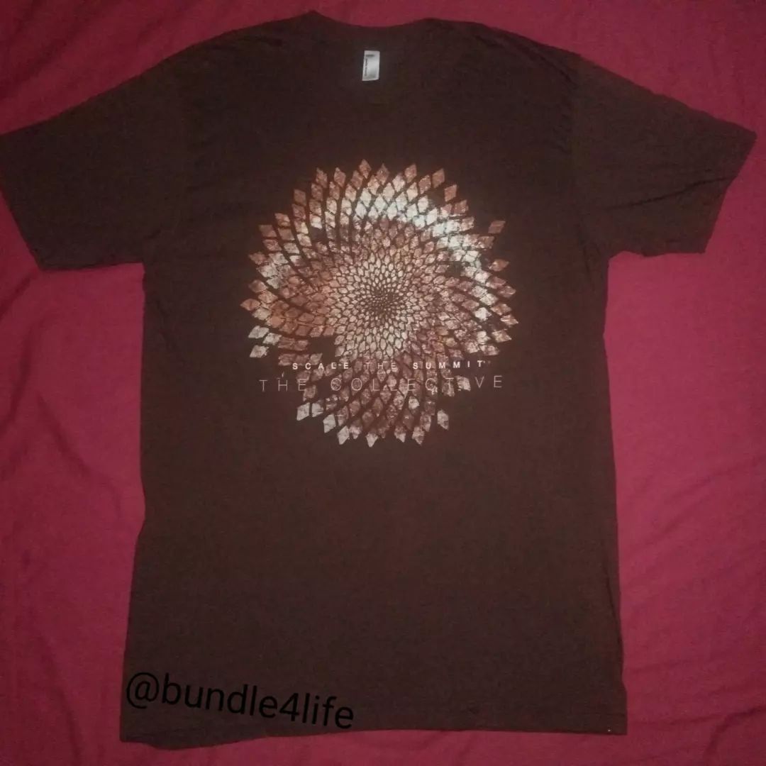 American Apparel × Band Tees NEW NOS 2011 Scale The Summit - The Collective tshirt Size US L / EU 52-54 / 3 - 2 Thumbnail