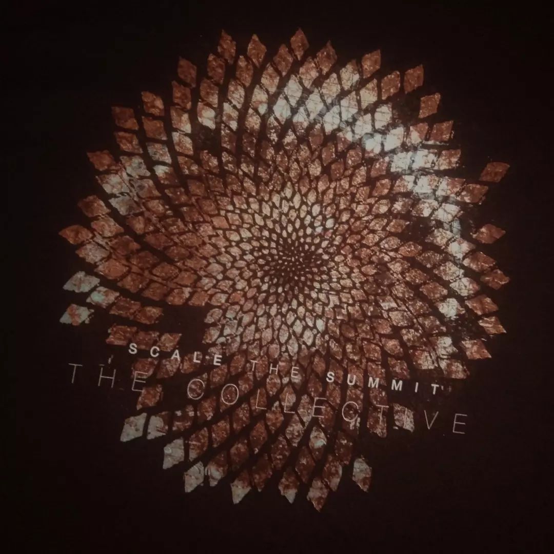 American Apparel × Band Tees NEW NOS 2011 Scale The Summit - The Collective tshirt Size US L / EU 52-54 / 3 - 1 Thumbnail