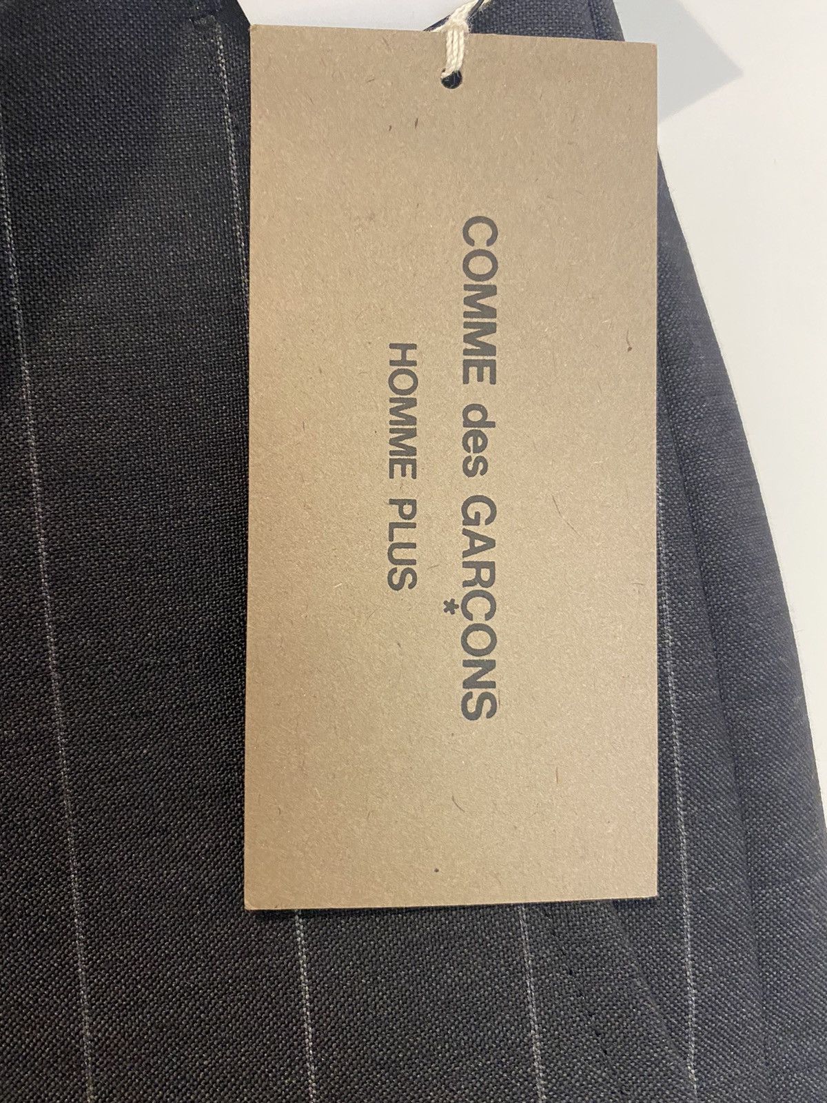 Comme des Garcons Homme Plus Comme des garçons homme plus pleated pinstripe trouser Size 34R - 2 Thumbnail