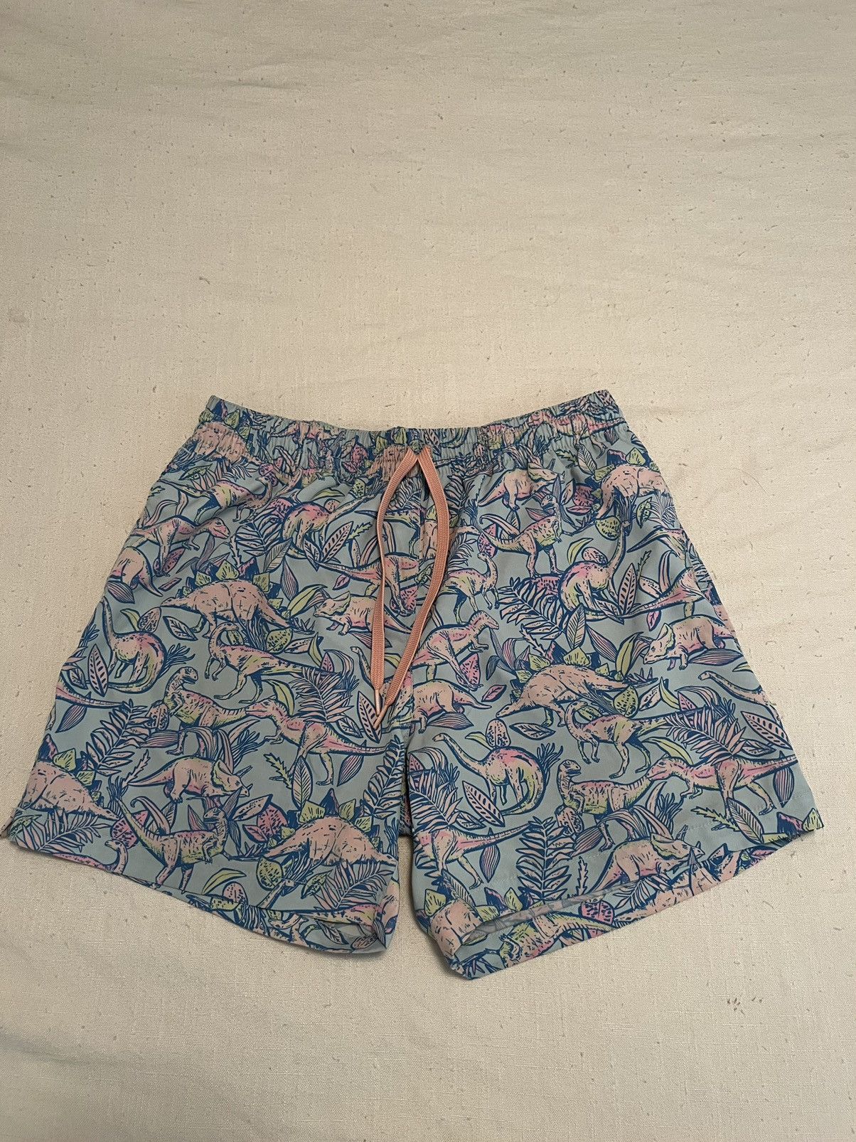 Chubbies Large Dinosaur Chubbies Swim Trunks | Grailed