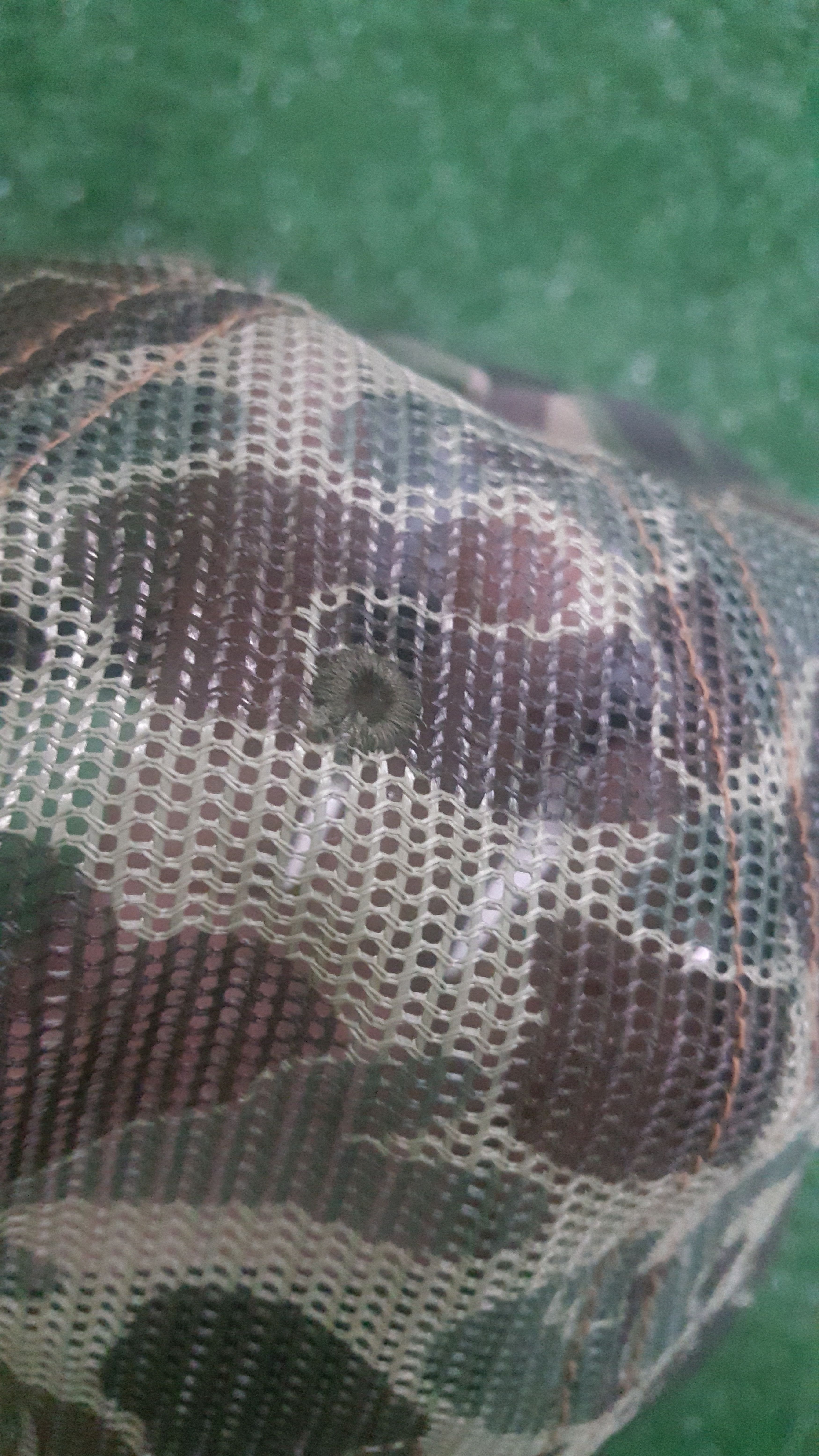 Von Dutch 📍LastDrop📍Vintage Von Dutch Trucker Hat Camo Design Size ONE SIZE - 5 Thumbnail