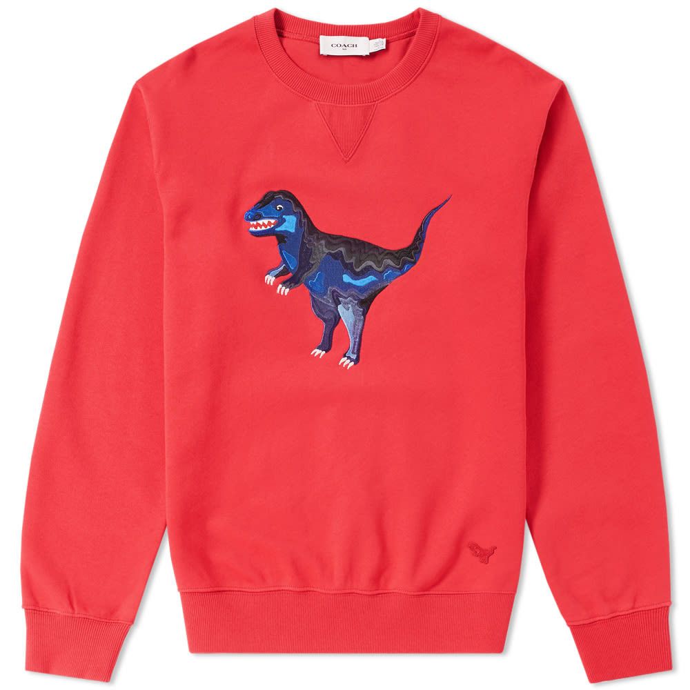 Coach dinosaur sweatshirt hotsell