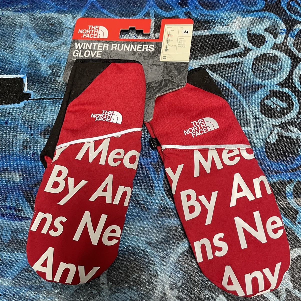 Supreme The North Face By Any Means Gloves