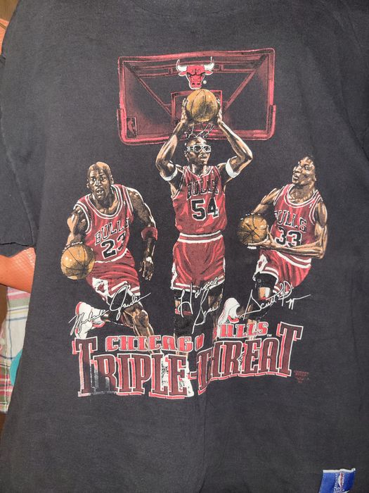 Nutmeg Mills Vintage Triple threat chicago bulls t shirt | Grailed