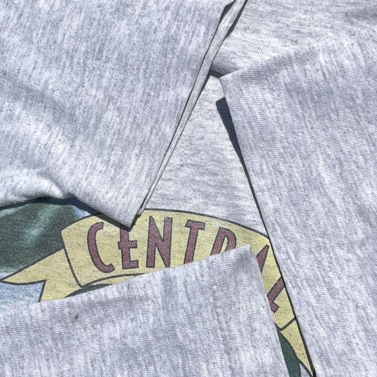Vintage Vintage FRIENDS central park 1995 warner bros tee shirt Size US XL / EU 56 / 4 - 8 Thumbnail