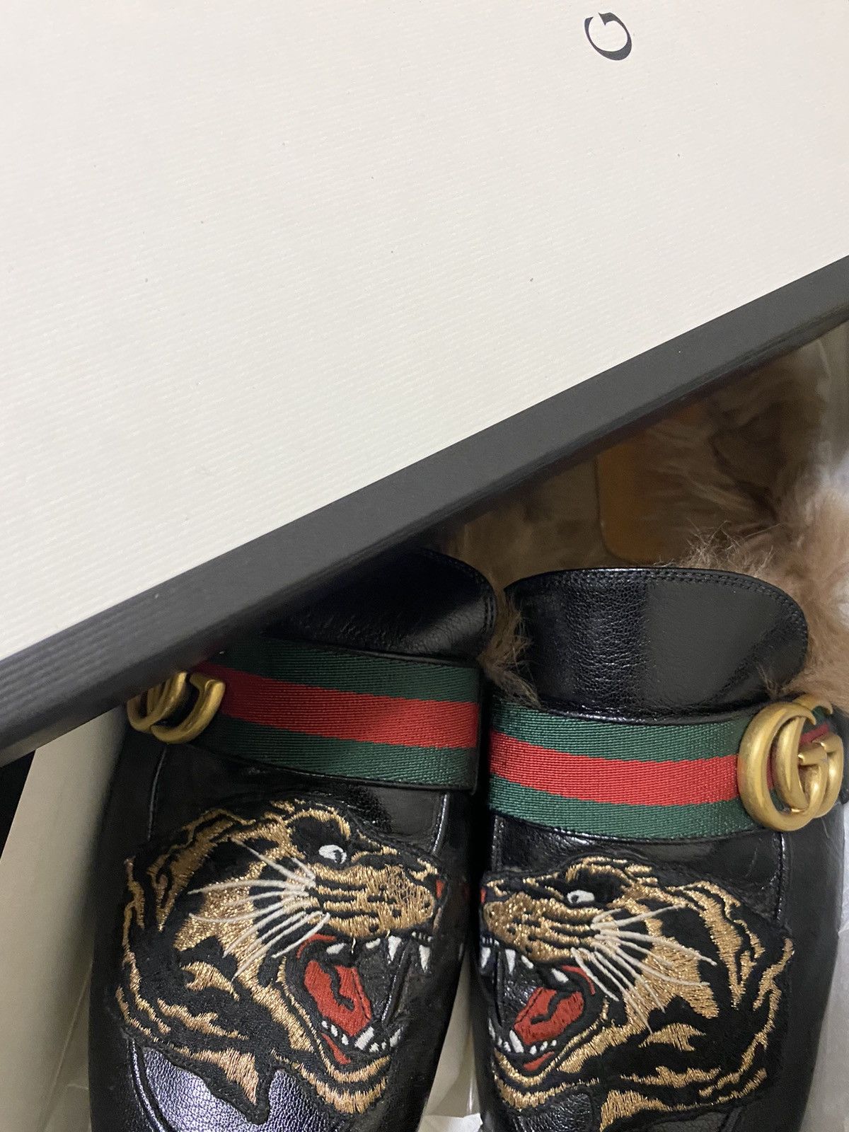 Gucci angry cat shoes outlet