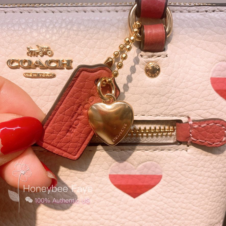 NWT Coach Mini Gallery Crossbody sale With Stripe Heart Print CA793