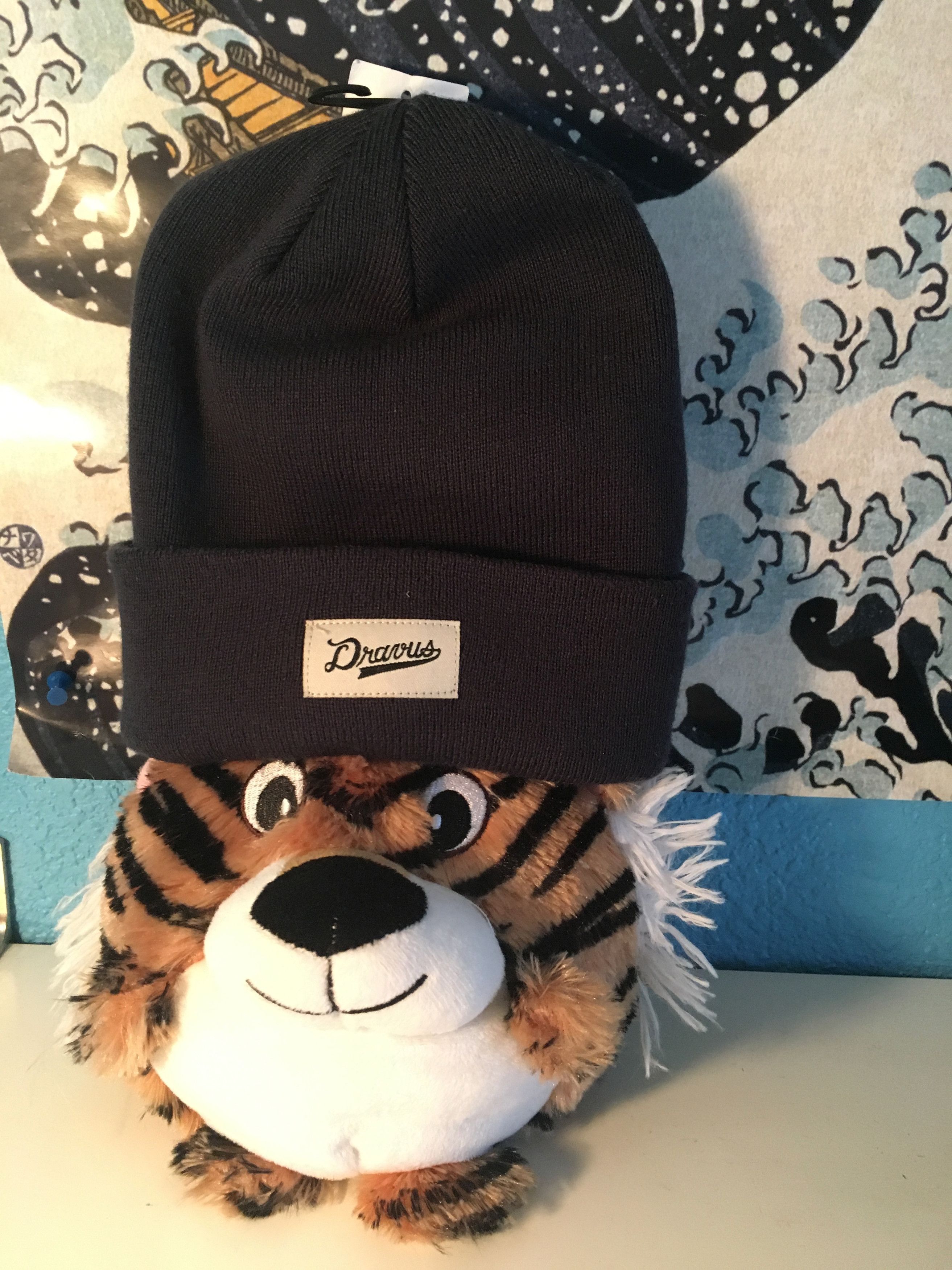 Dravus beanie store