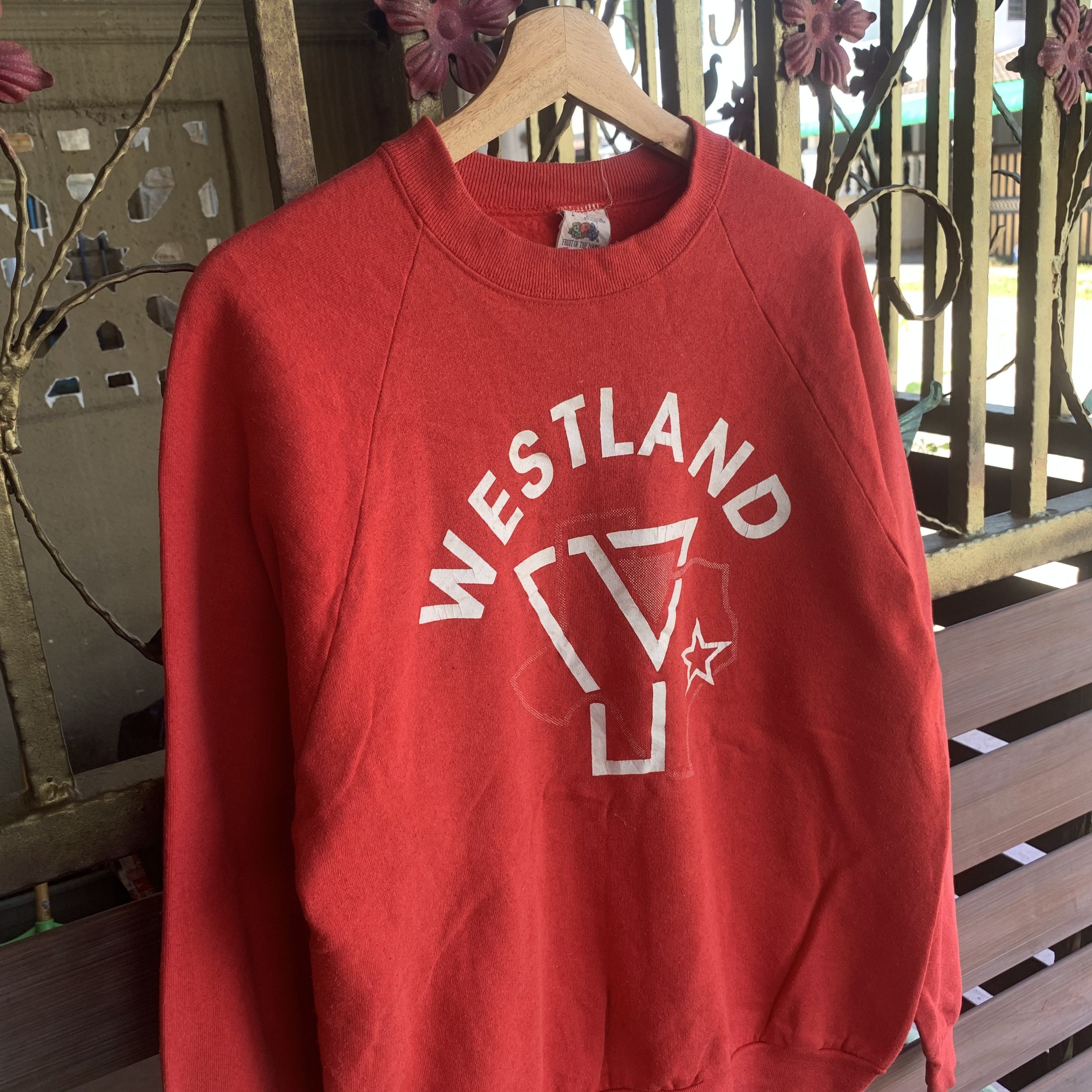 Fruit Of The Loom 💥 1990’s Vintage Fruit Of The Loom Jumper Pullover Sweater Size US L / EU 52-54 / 3 - 2 Thumbnail