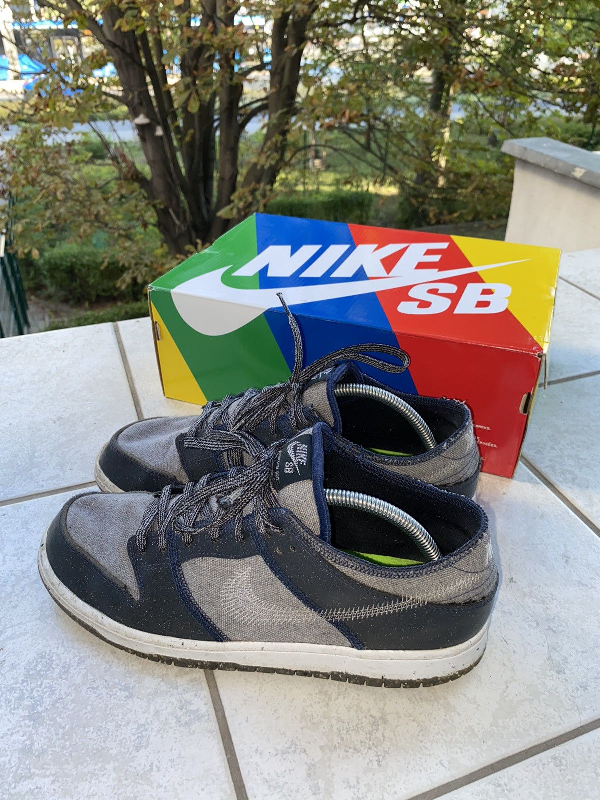 dunk low pro e