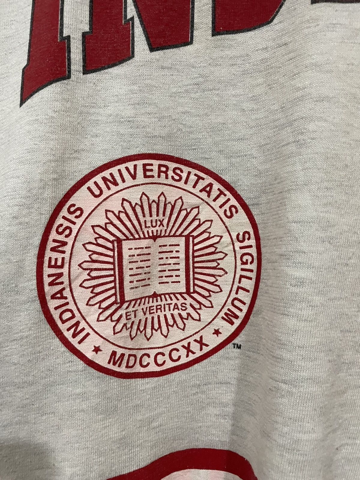 Other Rare 1977 Indiana Hooster Colleage Tee One Of A Kind!❤️‍🔥 Size US XL / EU 56 / 4 - 20 Thumbnail