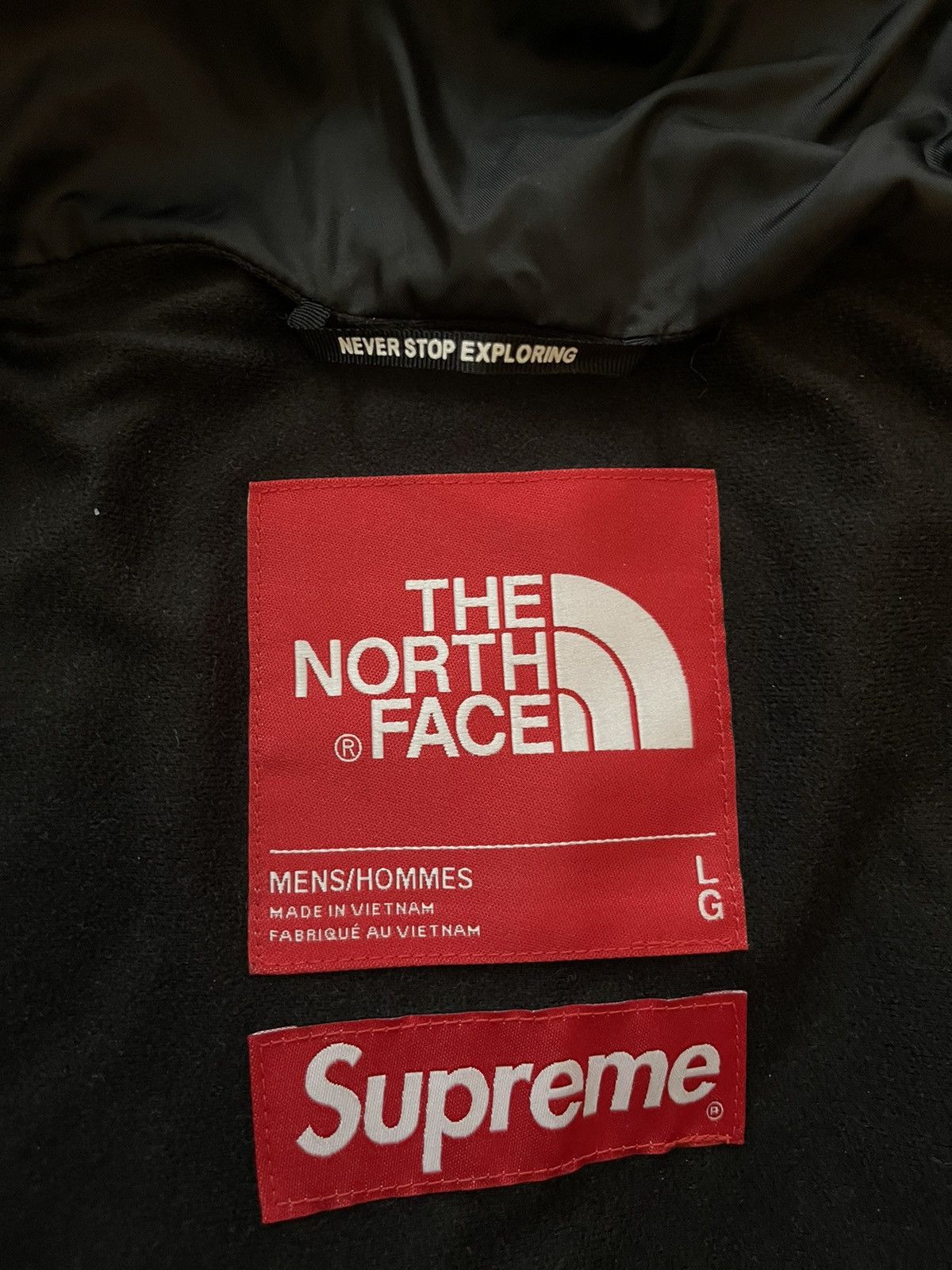Supreme × The North Face Supreme The North Face Studded Mountain Light Jacket Black Size US L / EU 52-54 / 3 - 3 Thumbnail