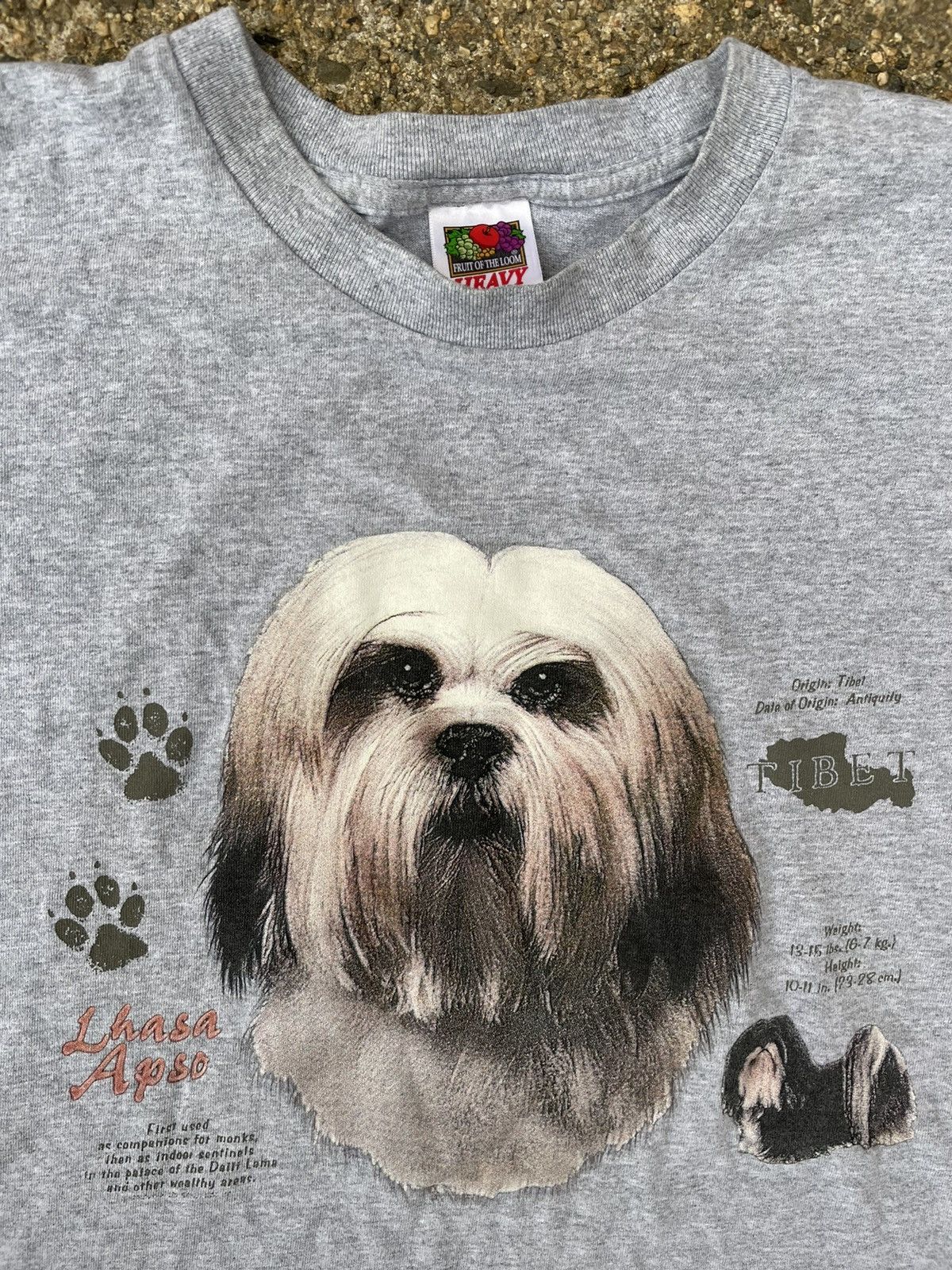 Fruit Of The Loom 90s Vintage Lhasa Apso Tibetan Royal Dog Animal Tee Tibet Size US XXL / EU 58 / 5 - 1 Thumbnail