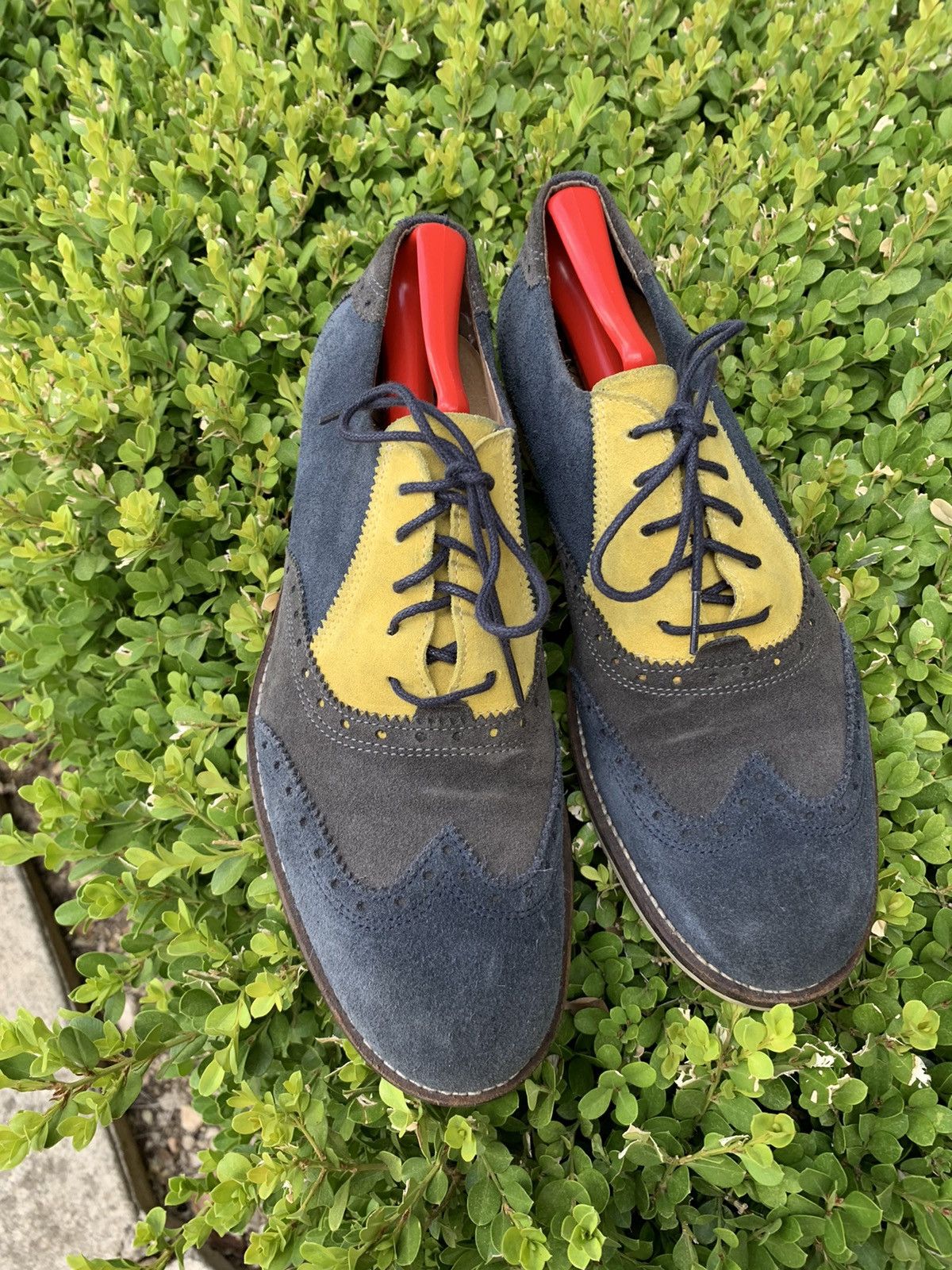 Tri Colored Suede wingtip Derby’s