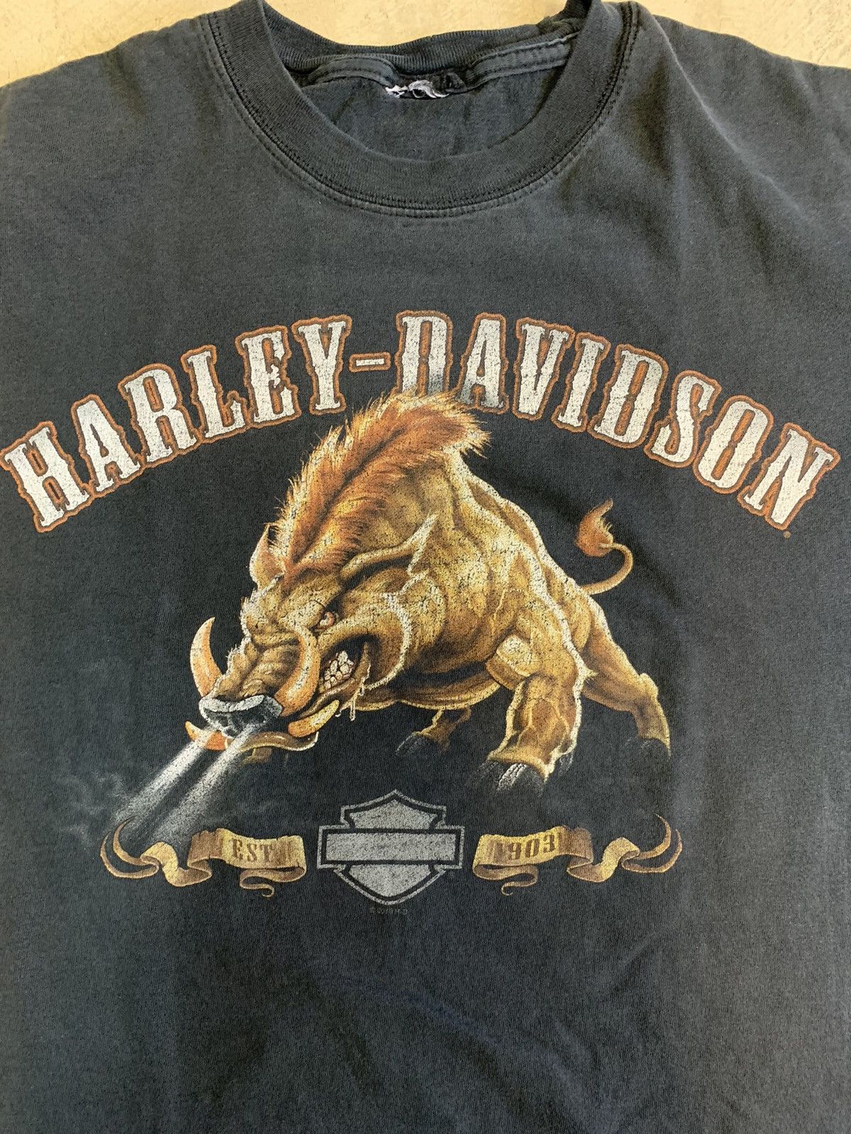 Harley Davidson × Vintage Vintage Y2K Harley Davidson Faded Eagle Rock Tee Size US L / EU 52-54 / 3 - 2 Thumbnail