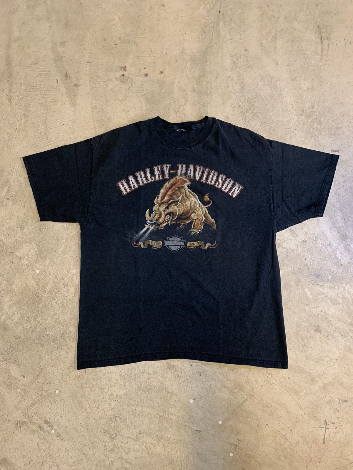 Harley Davidson × Vintage Vintage Y2K Harley Davidson Faded Eagle Rock Tee Size US L / EU 52-54 / 3 - 1 Thumbnail