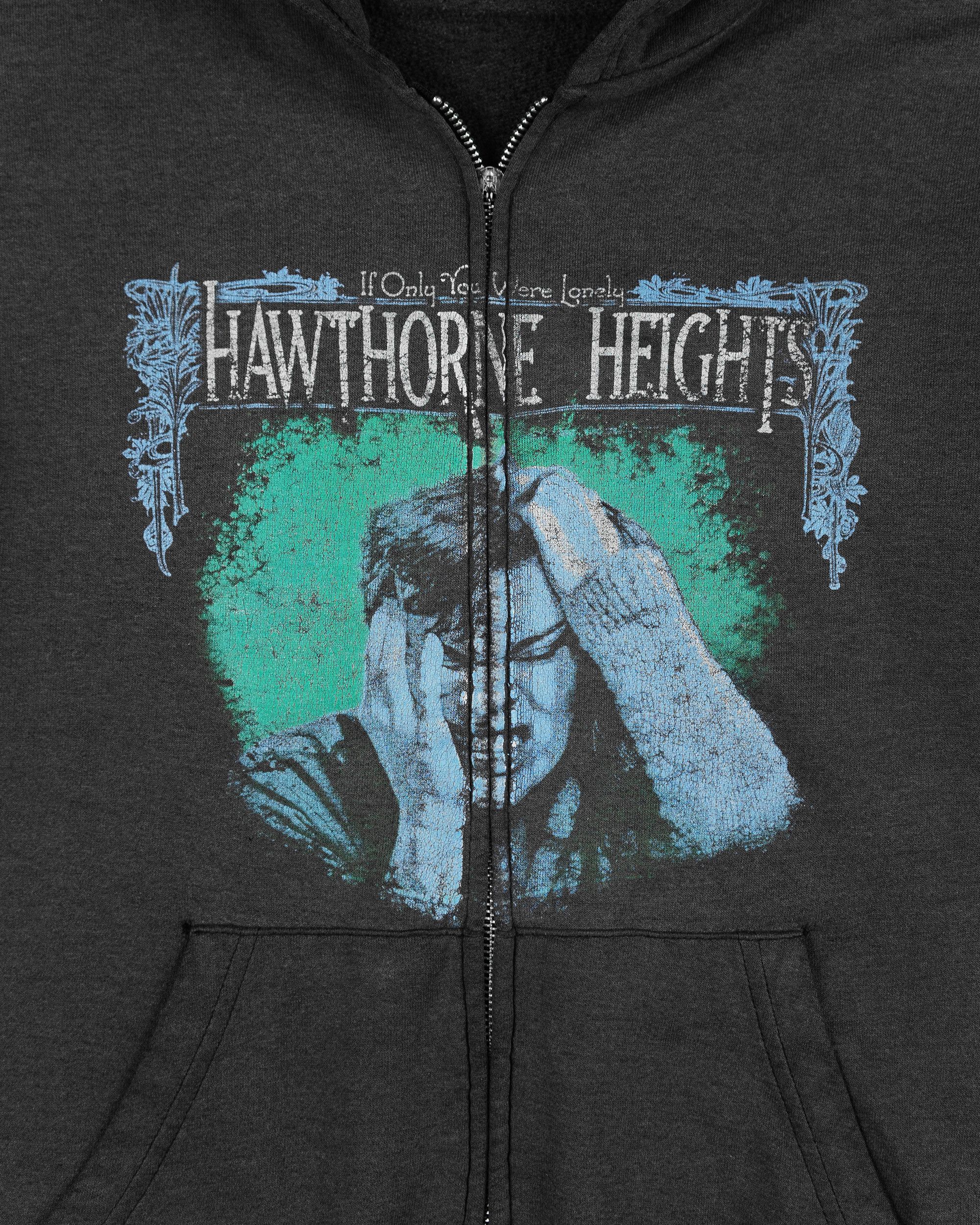Band Tees × Vintage Hawthorne Heights 'If Only You Were Lonely' Hoodie (2006) Size US M / EU 48-50 / 2 - 2 Thumbnail