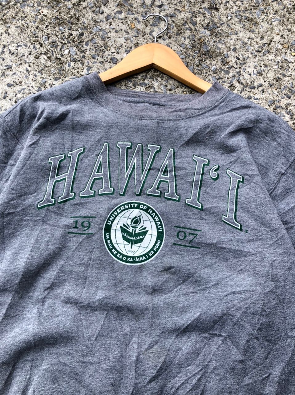 Jansport Jansport University Of Hawaii Sweatshirt Size US M / EU 48-50 / 2 - 3 Thumbnail
