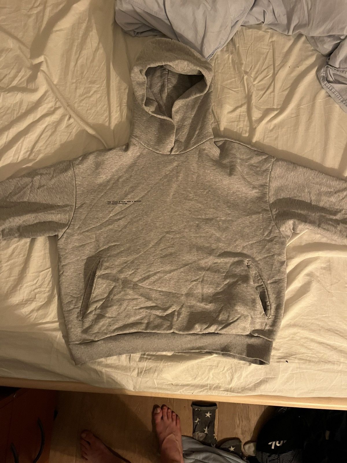 Pangaia Grey pangaia hoodie s | Grailed