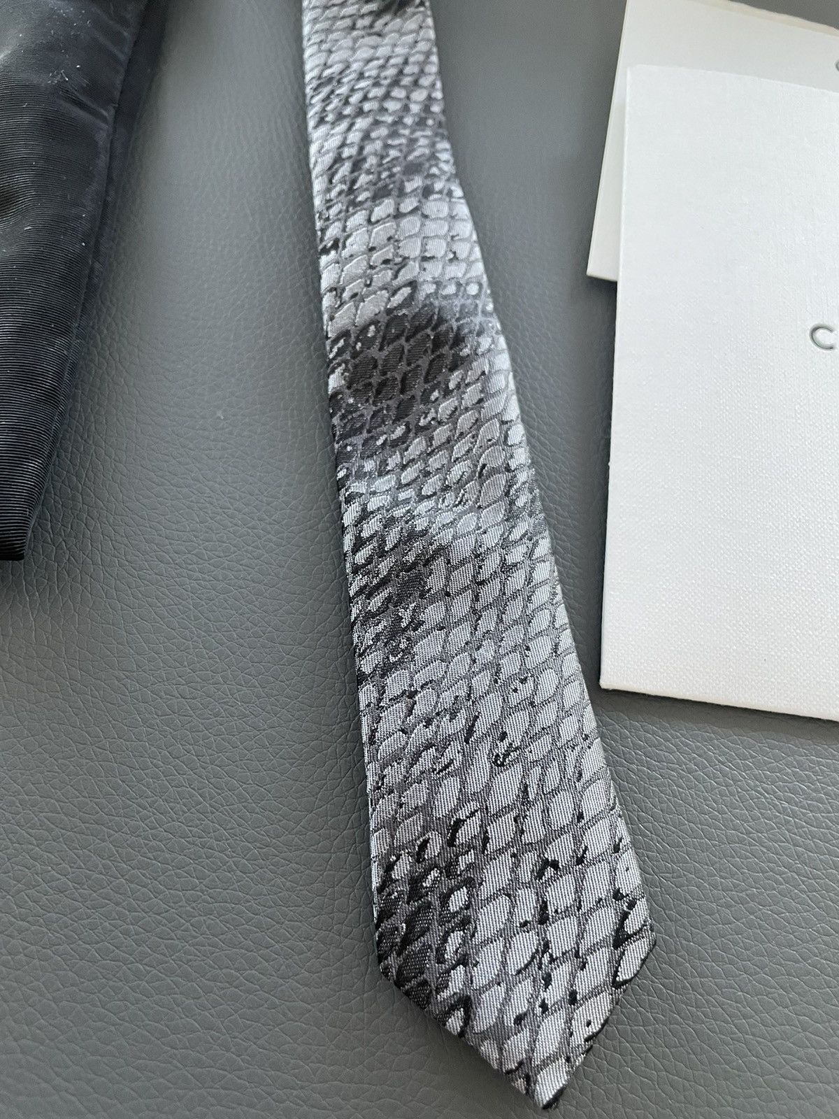Celine × Hedi Slimane Limited Edition Celine Hedi Slimane Python Tie Brand NEW Size ONE SIZE - 1 Thumbnail