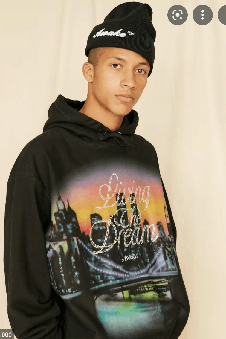 Awake Awake Ny living the dream hoodie | Grailed