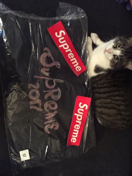 Supreme Brush Logo Hoodie Grailed