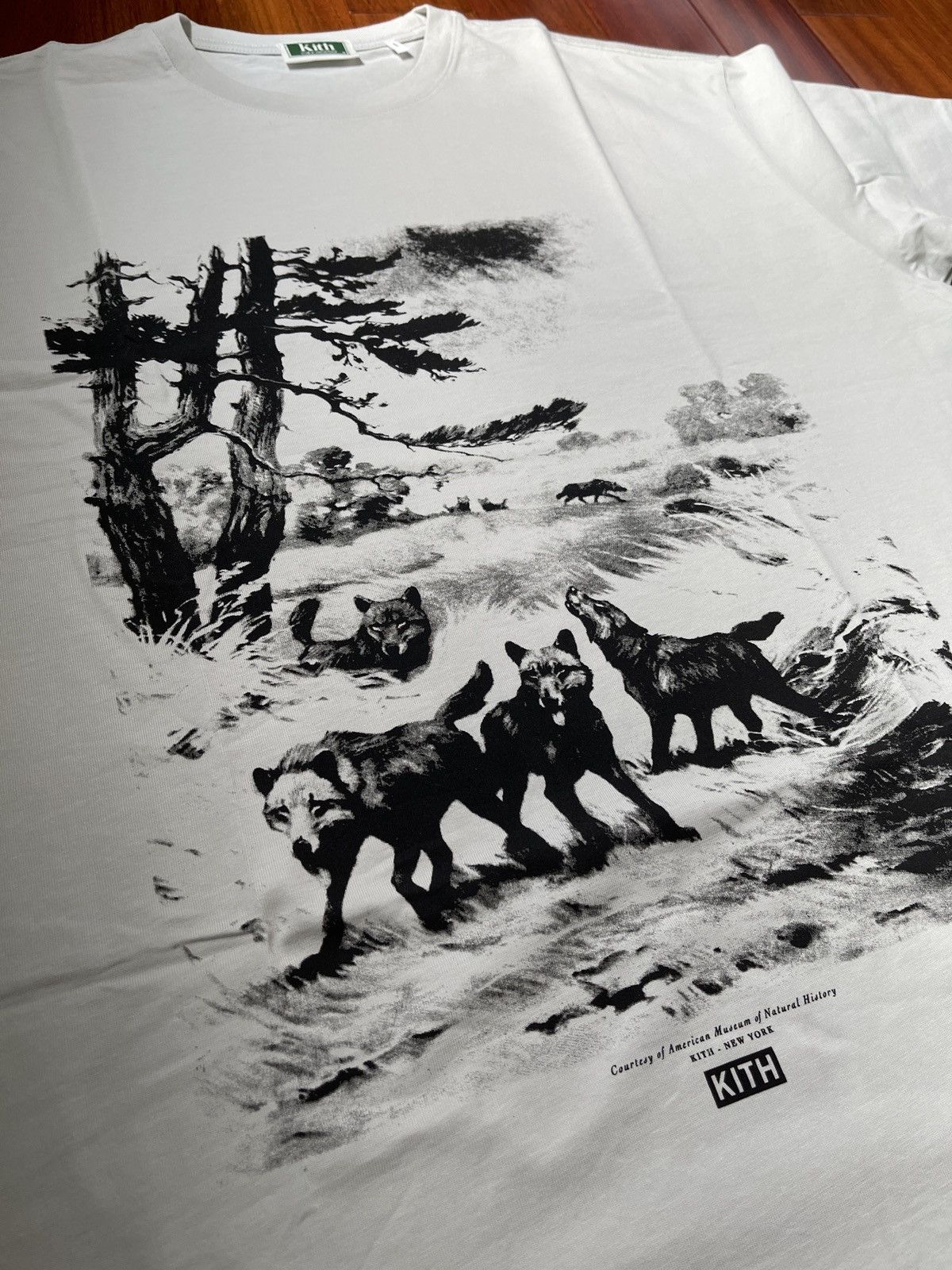 Kith Kith x AMNH Wolves Vintage Tee - Concrete Size US M / EU 48-50 / 2 - 2 Thumbnail