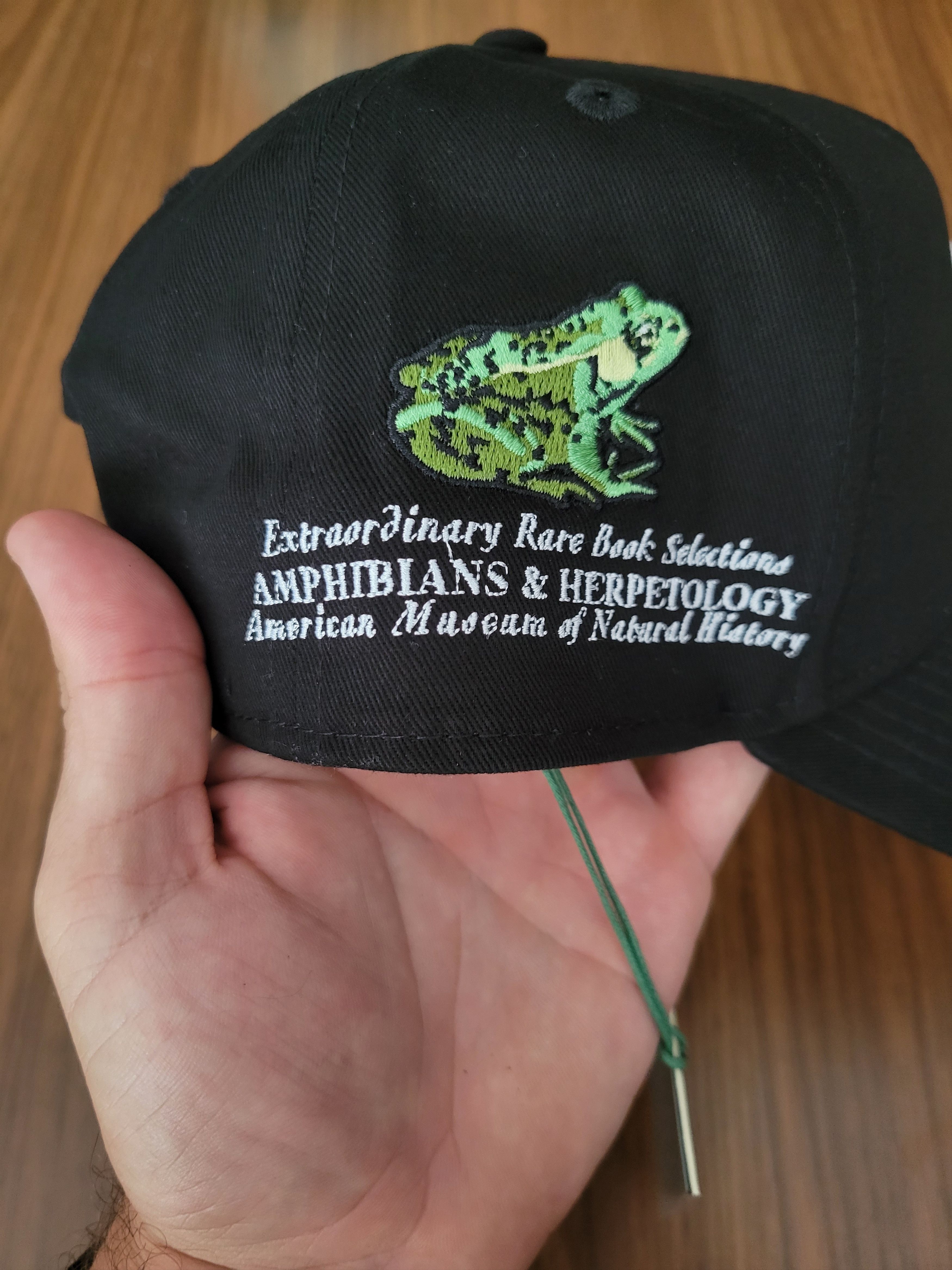 Kith × New Era KITH x American Museum of Natural History