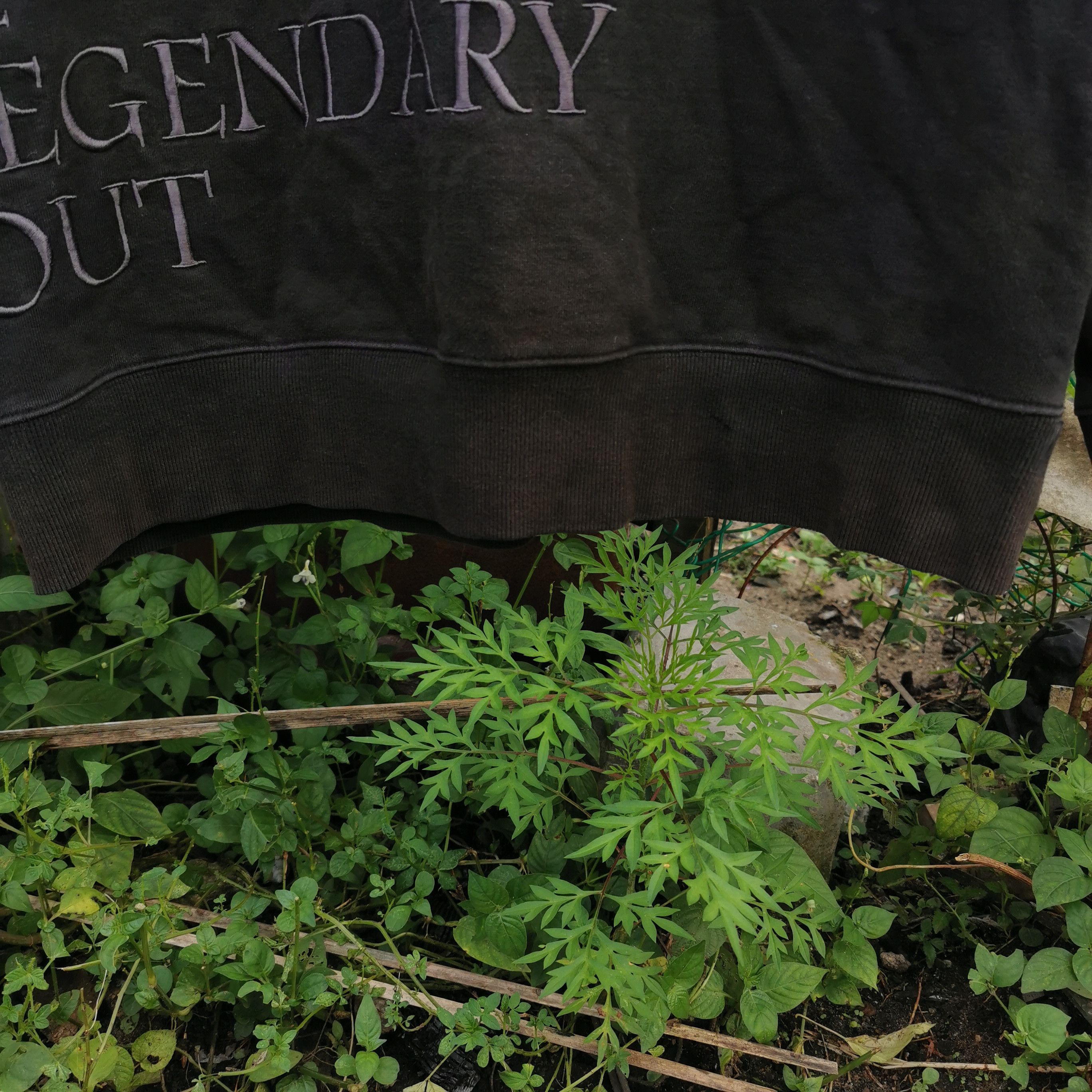 I Am Not A Human Being × Vintage Hoodies I am not a human BEING (THE LEGENDARY OUT) Size US L / EU 52-54 / 3 - 7 Thumbnail