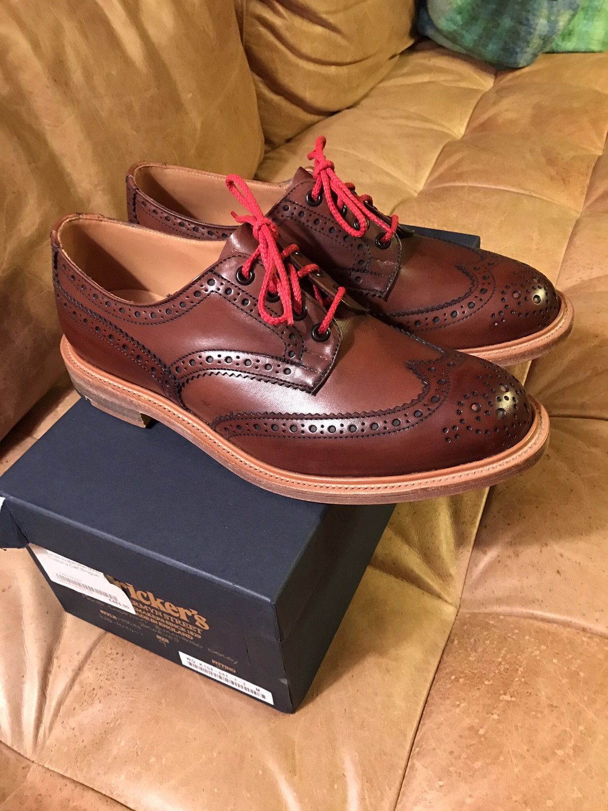Junya Watanabe // Comme des Garçons Man X Tricker's Stephy