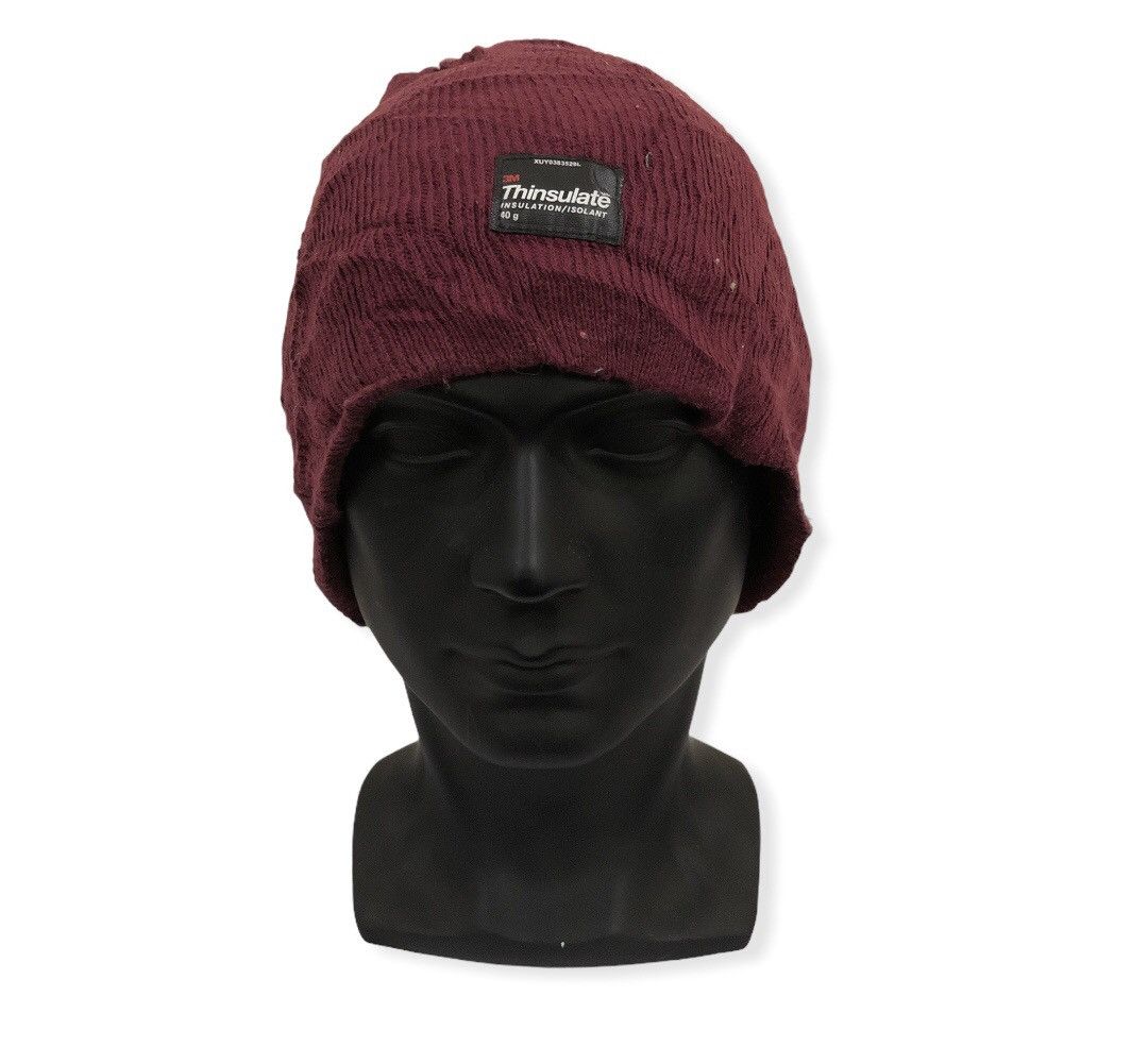 Thinsulate Thinsulate Beanie Hat | Grailed