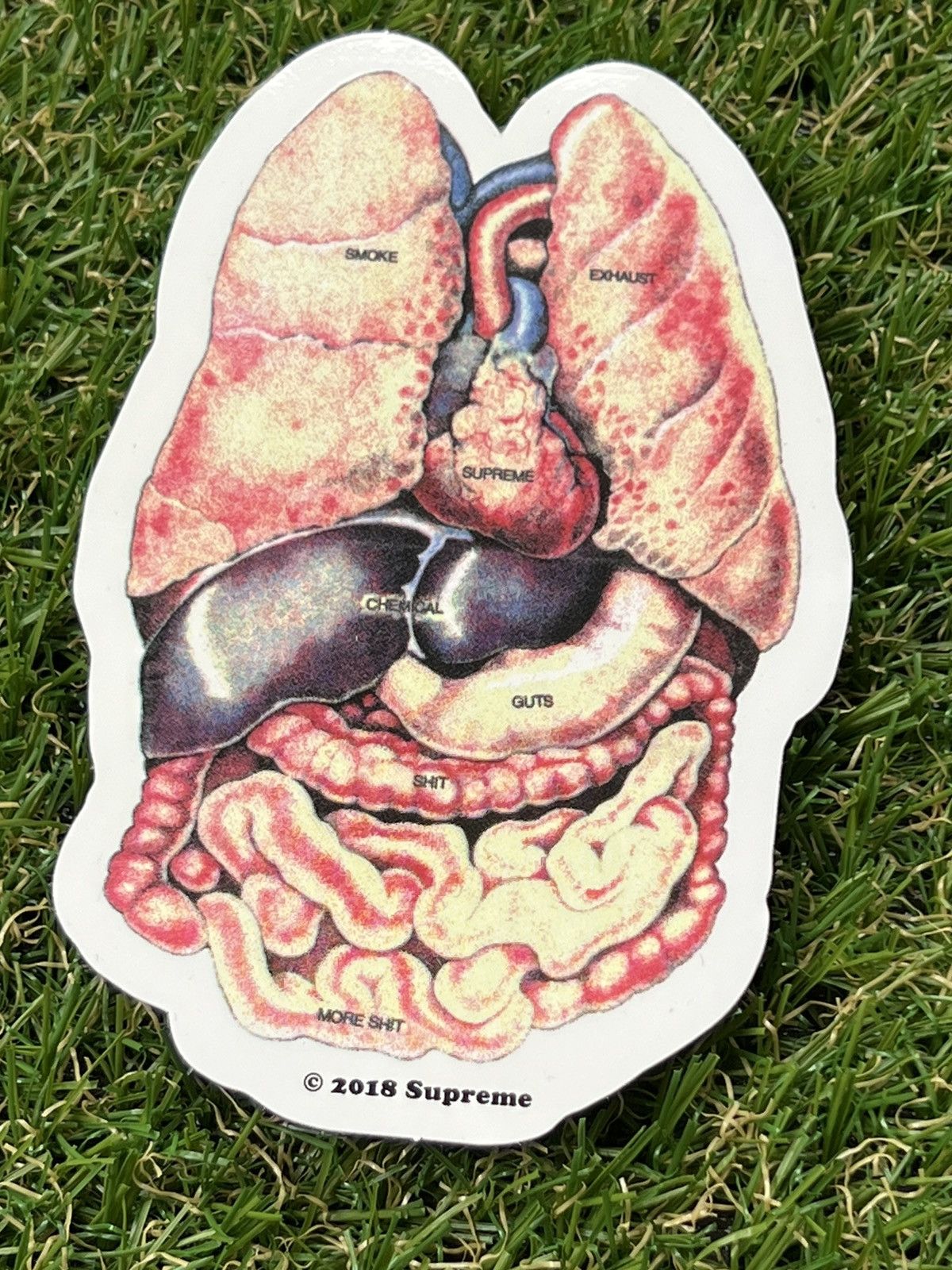 Supreme 2018 Supreme Anatomy Sticker Size ONE SIZE - 2 Thumbnail
