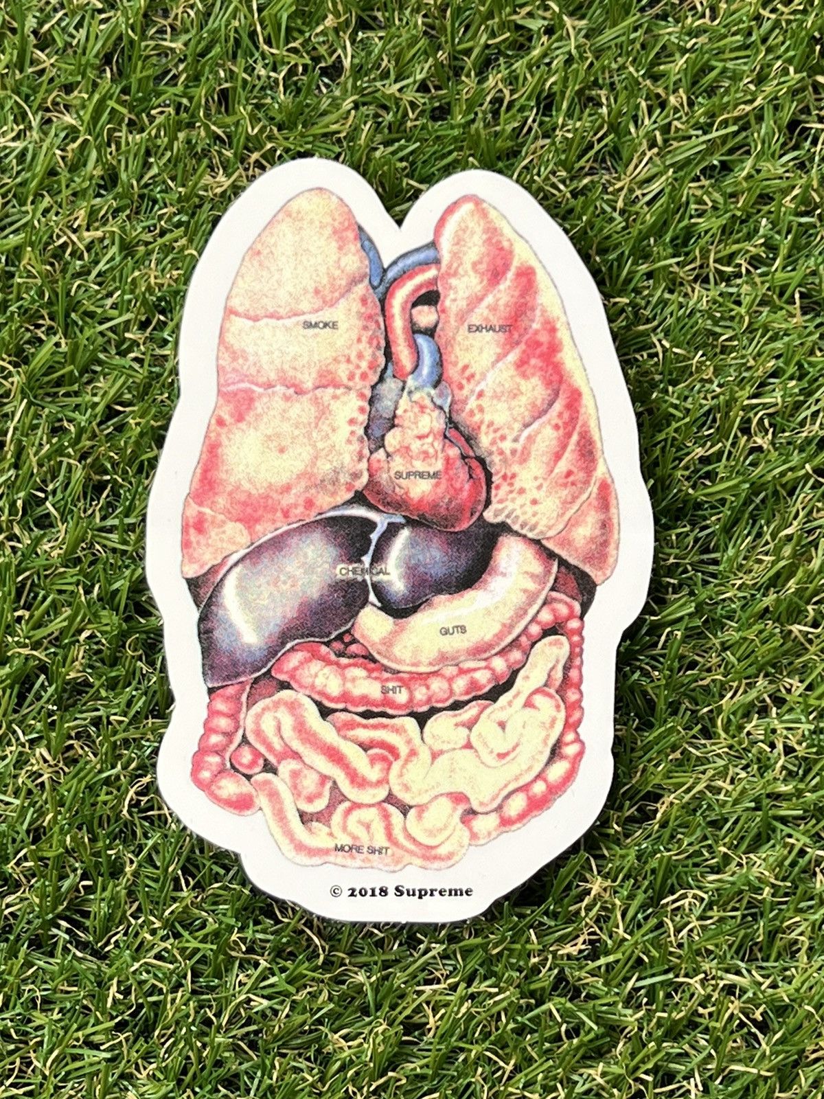 Supreme 2018 Supreme Anatomy Sticker Size ONE SIZE - 1 Thumbnail