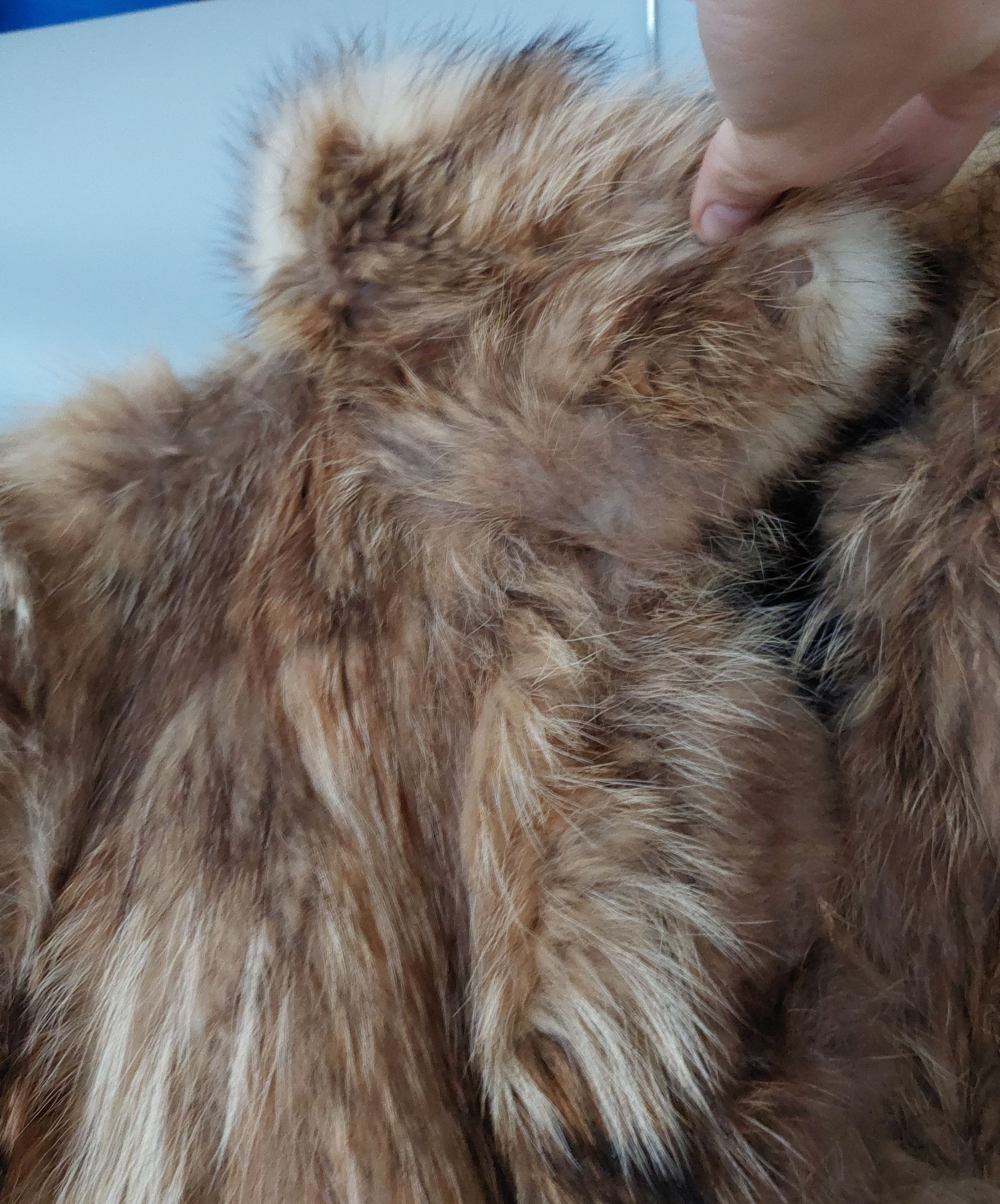 Vintage Russian vintage real raccoon fur coat jacket women size M/L Size L / US 10 / IT 46 - 4 Thumbnail