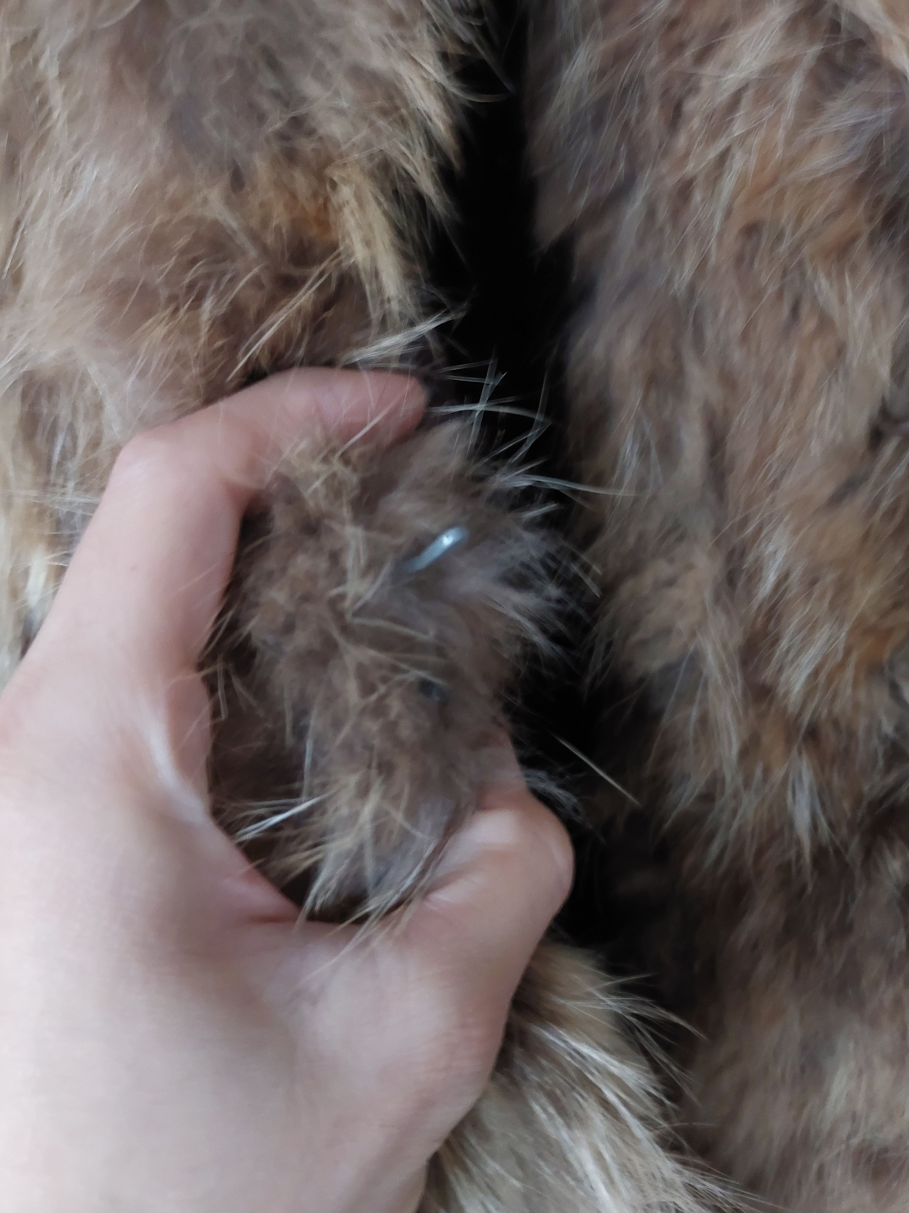 Vintage Russian vintage real raccoon fur coat jacket women size M/L Size L / US 10 / IT 46 - 8 Thumbnail