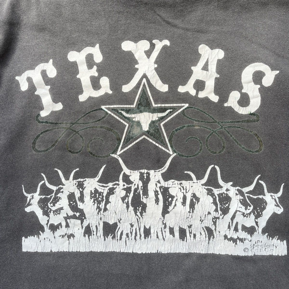 Fashion Victim Fashion Victim Texas Vintage Single Stitches USA Size US L / EU 52-54 / 3 - 8 Thumbnail