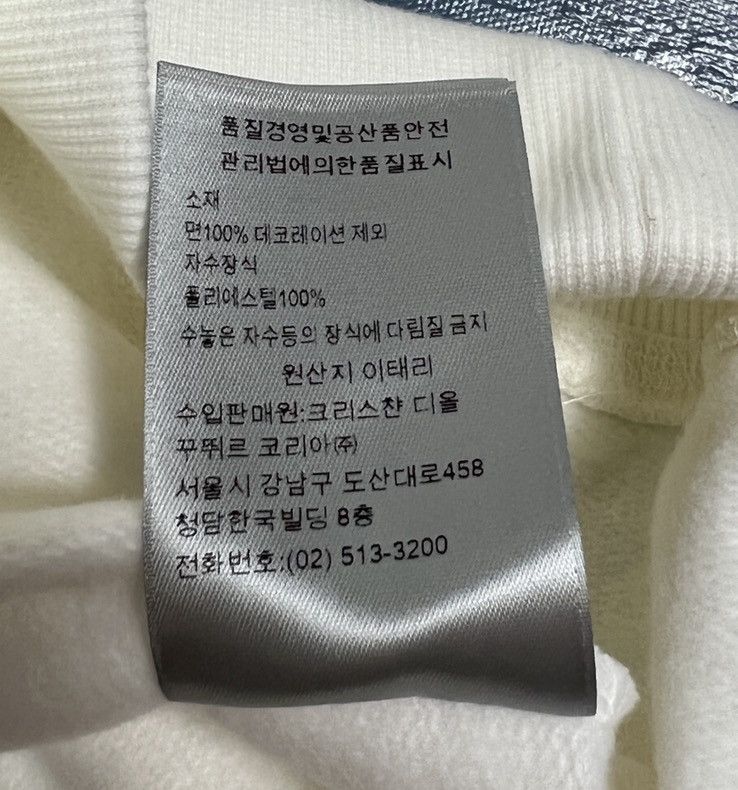 Dior Dior x Peter doig logo hoodie Size US S / EU 44-46 / 1 - 6 Thumbnail