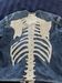 Kapital Kapital 12oz denim bones skeleton Crosby jacket Size US XL / EU 56 / 4 - 5 Thumbnail