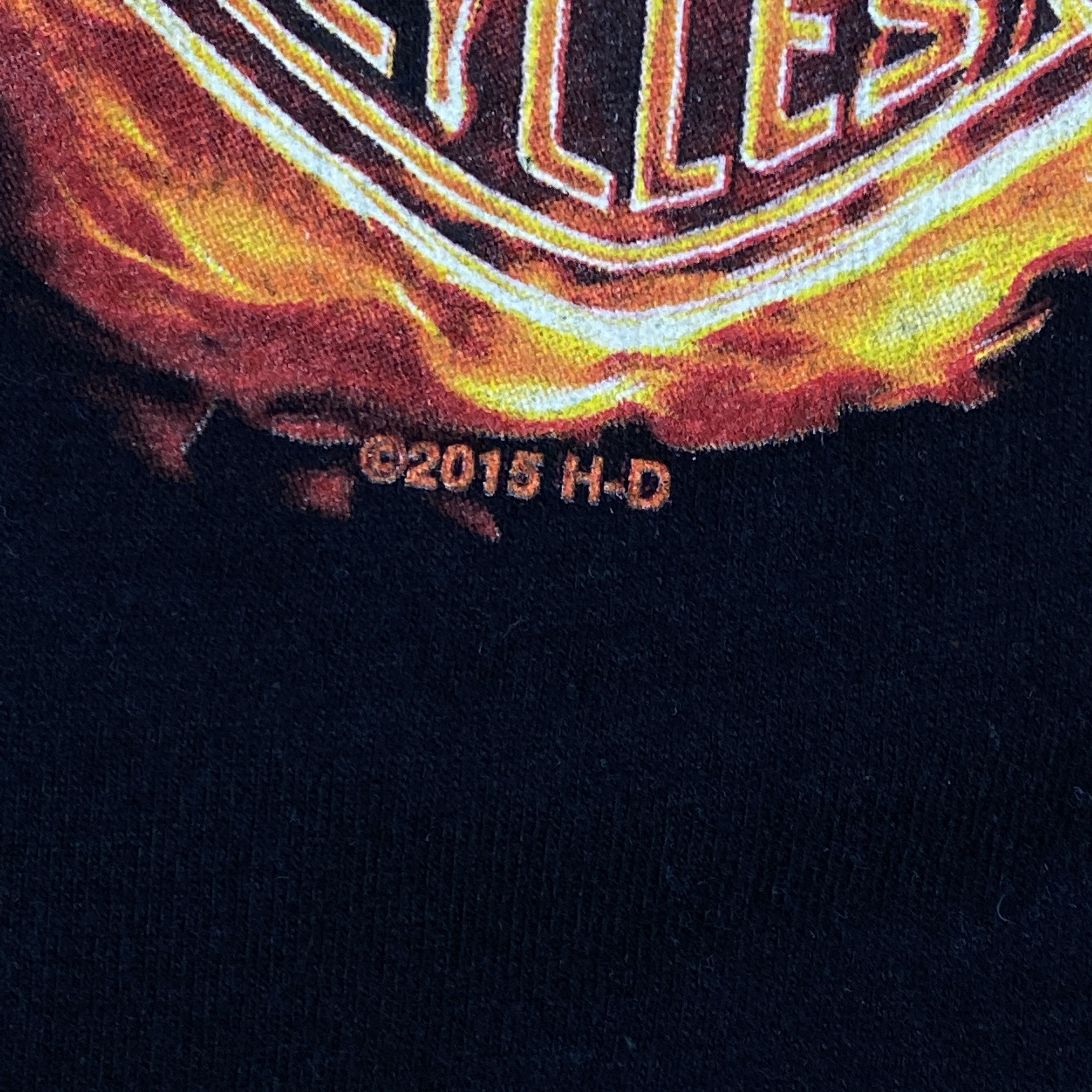 Harley Davidson Mens T-Shirt Harley Davidson Size M Size US M / EU 48-50 / 2 - 4 Thumbnail