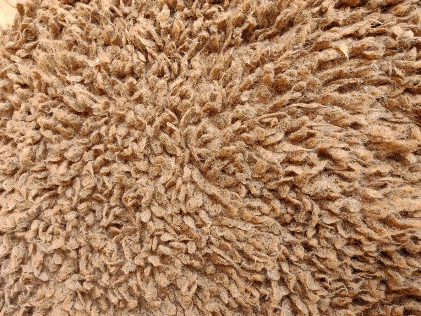❤EXPRESS SHIPPING❤MOUSSY FUZZY SWEATER JACKET