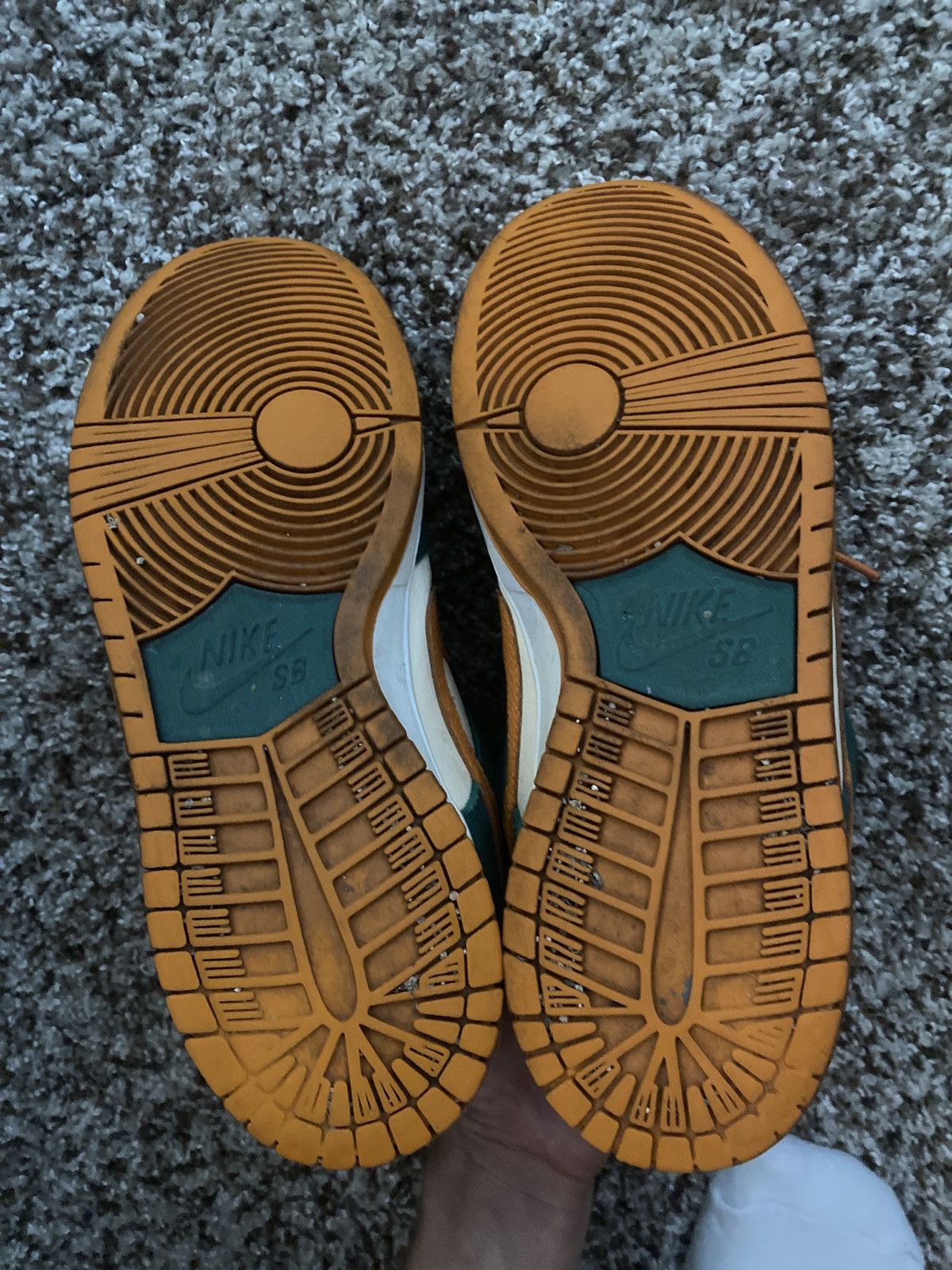 sb dunk legion pine