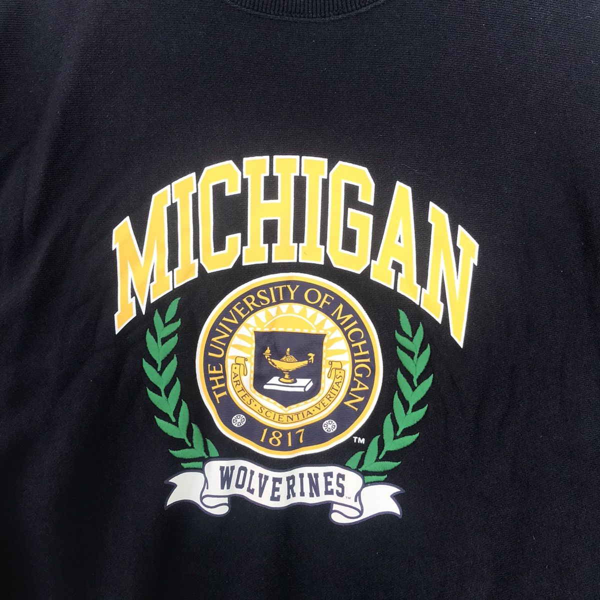 Vintage The University of Michigan Spell Out Big Logo Sweatshirt Size US M / EU 48-50 / 2 - 2 Thumbnail