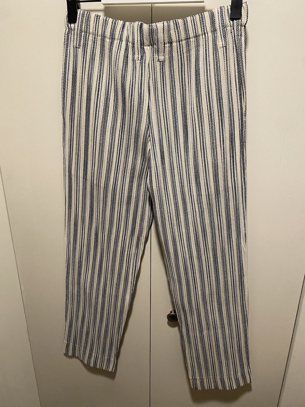 Issey Miyake Homme Plissé Issey Miyake Pleated Pants Leno Stripe Ivory Size US 32 / EU 48 - 2 Thumbnail