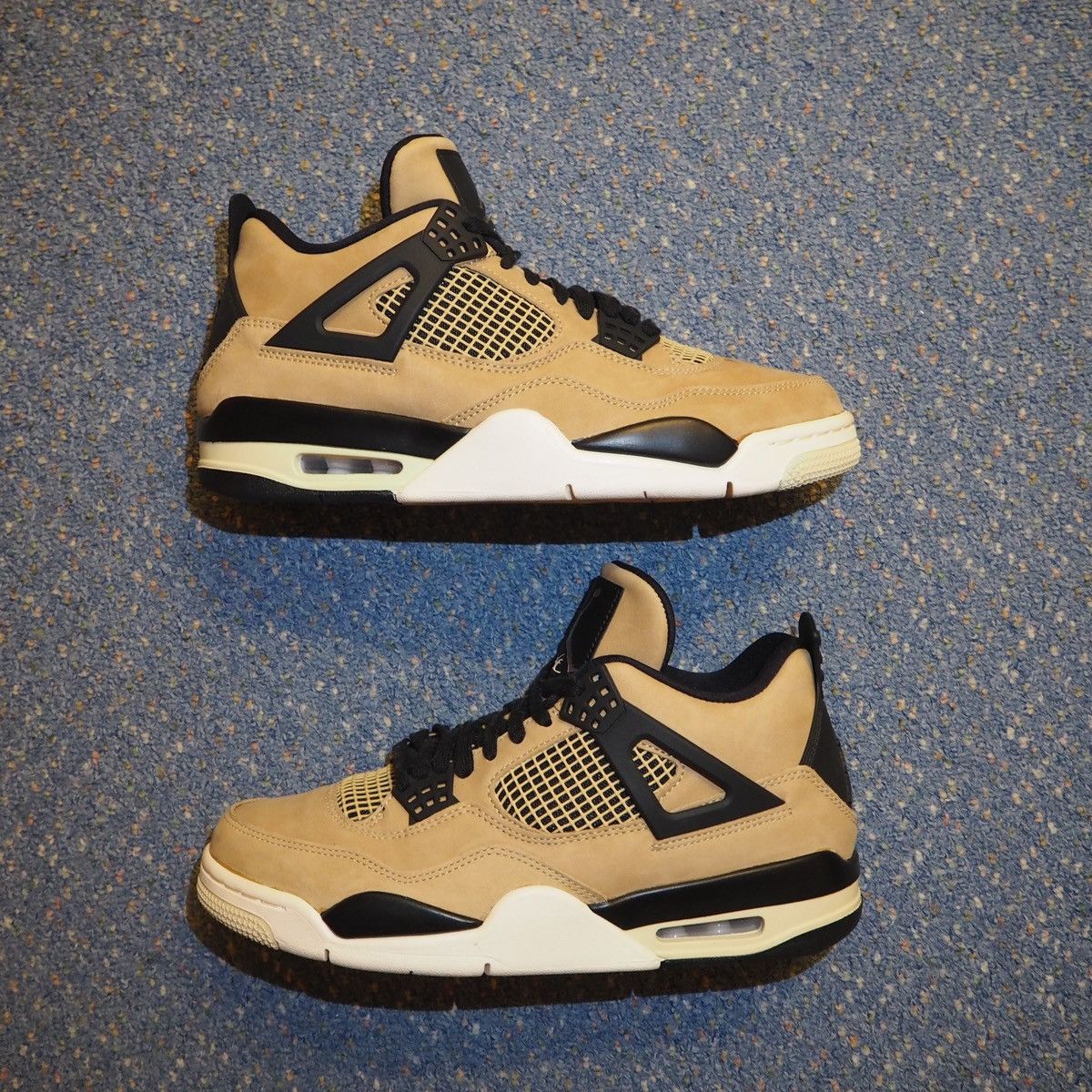 jordan fossil 4s