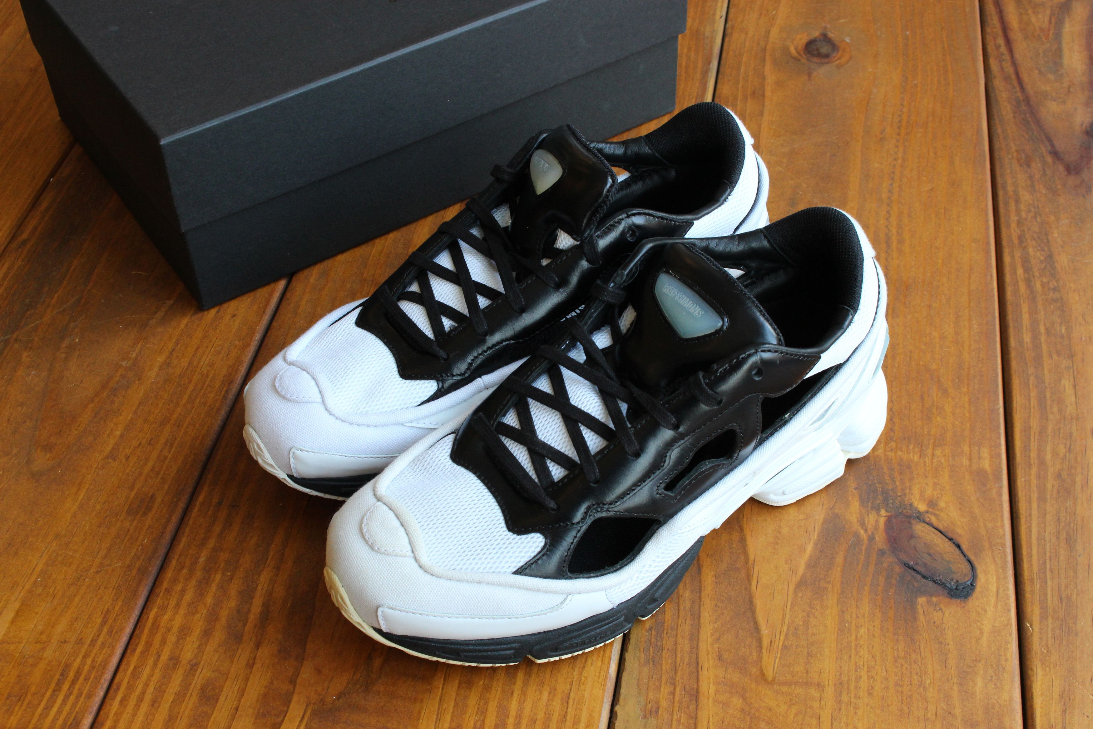 raf simons replicant