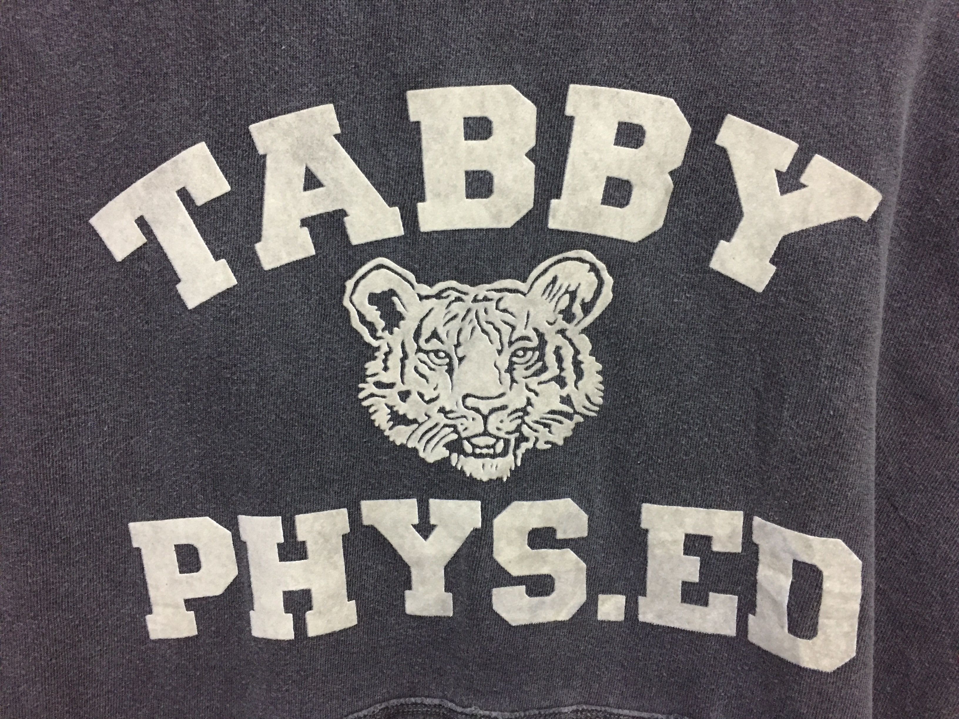 J.S. Homestead TABBY PHYS.ED velvet print Vintage Gray hoodie Size US M / EU 48-50 / 2 - 5 Thumbnail