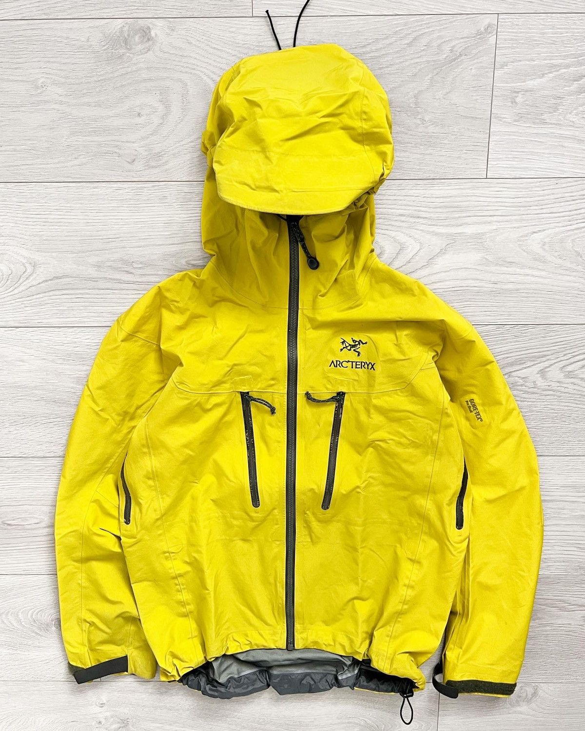 Arcteryx alpha ar clearance lichen