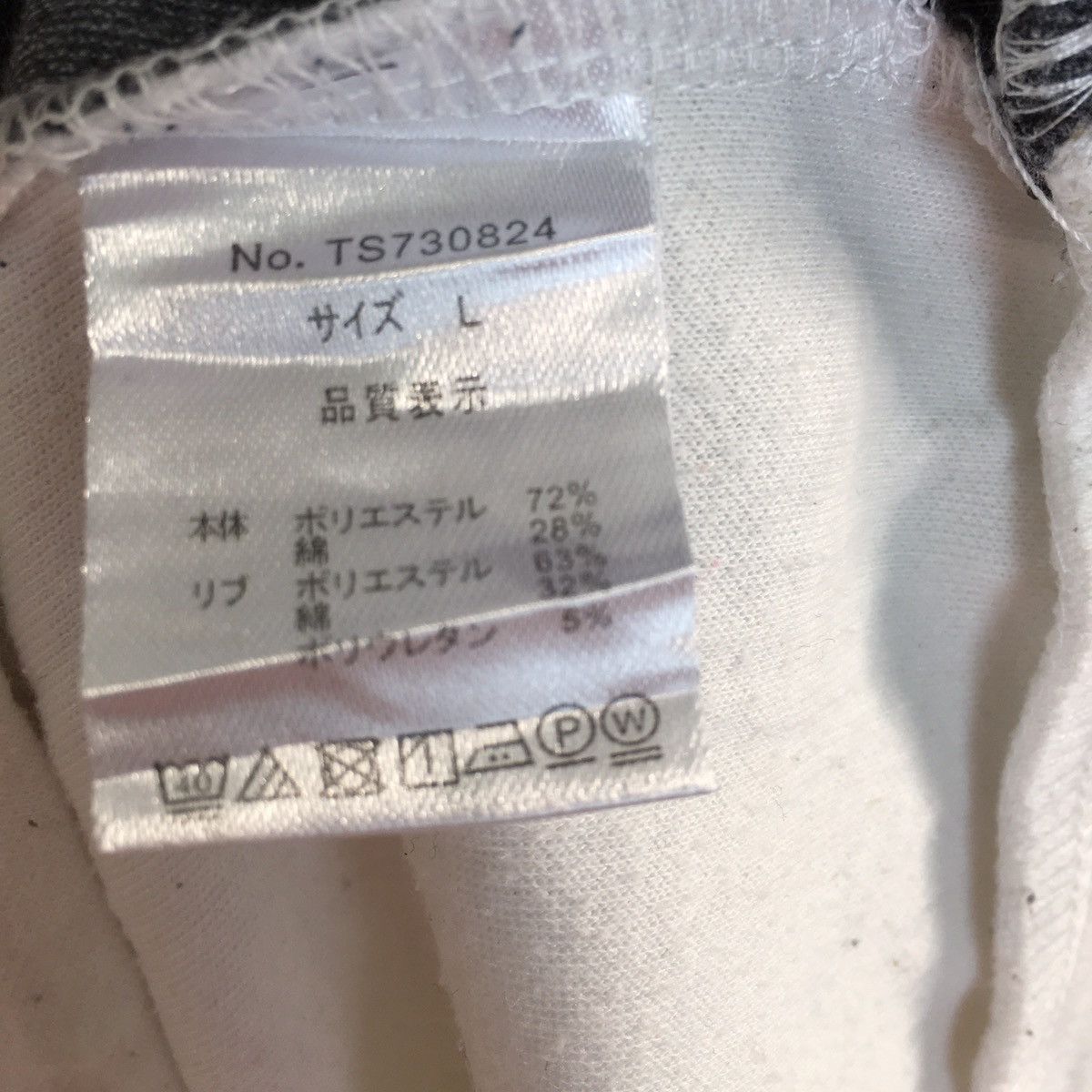 Japanese Colorway Long Sleeve